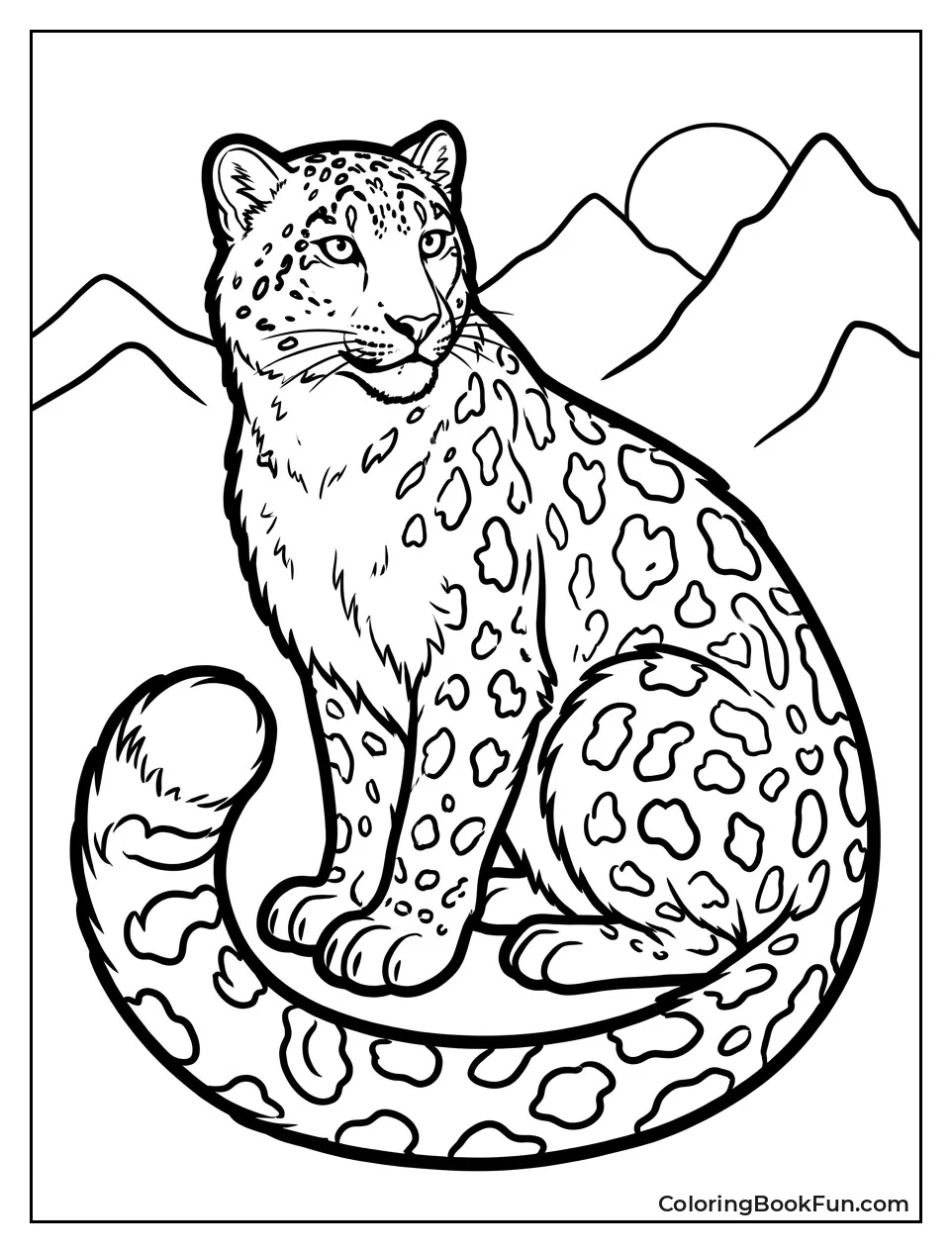 Snow Leopard Wraps Tail Around Body