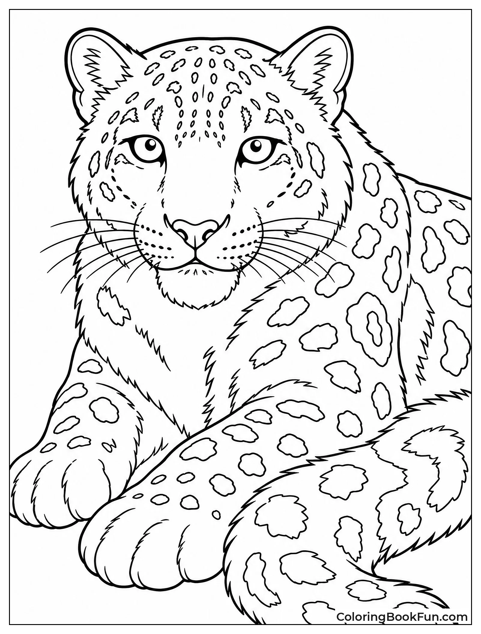 Snow Leopard Shows Thick Winter Fur