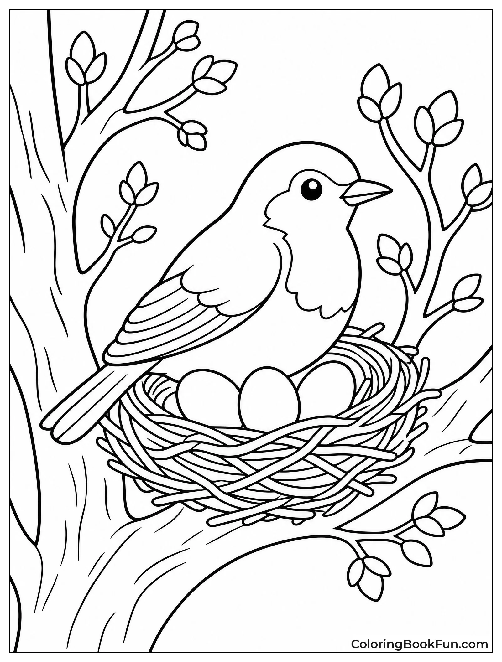 Robin Sitting on Nest with Eggs