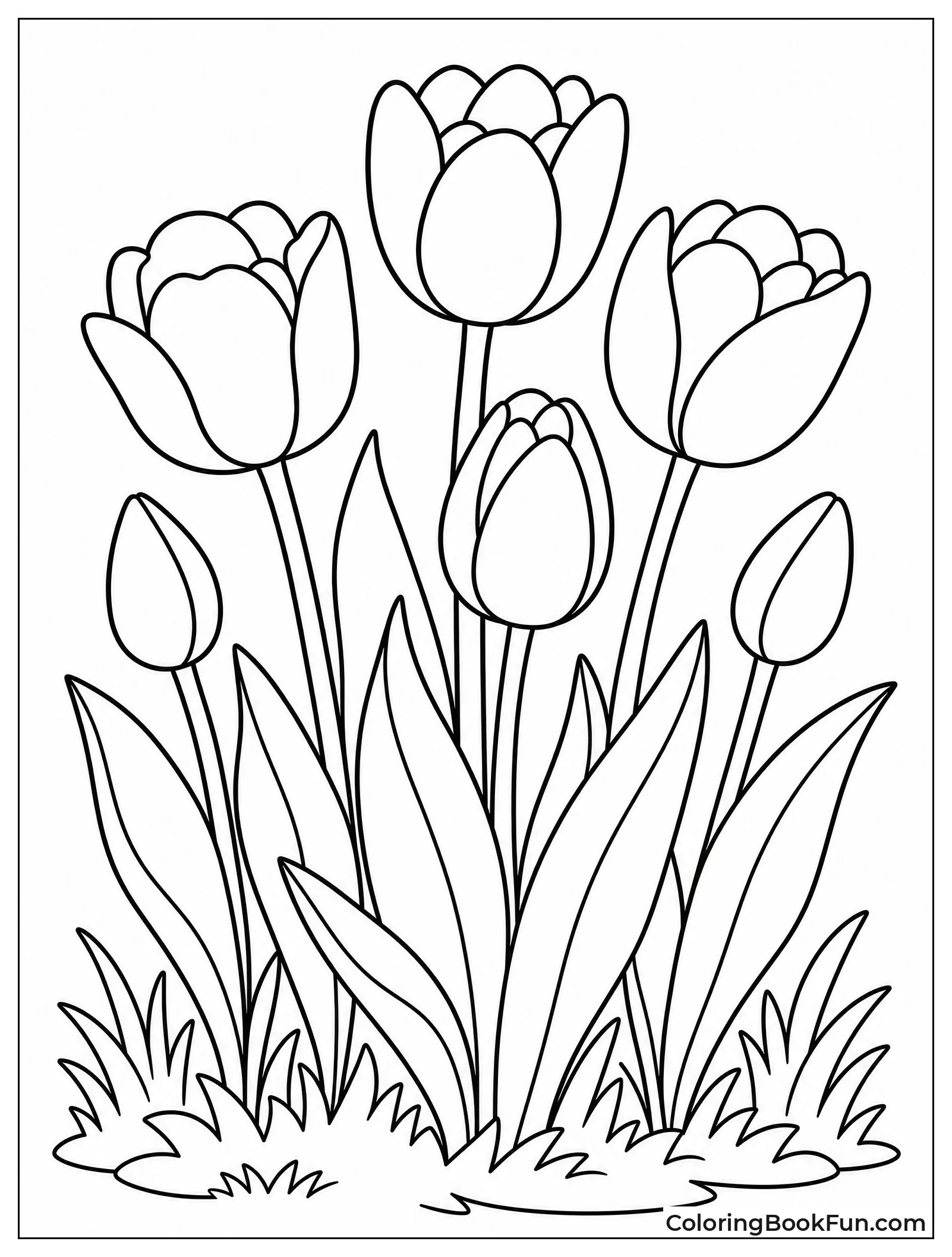 Tall Tulips Blooming in Sun