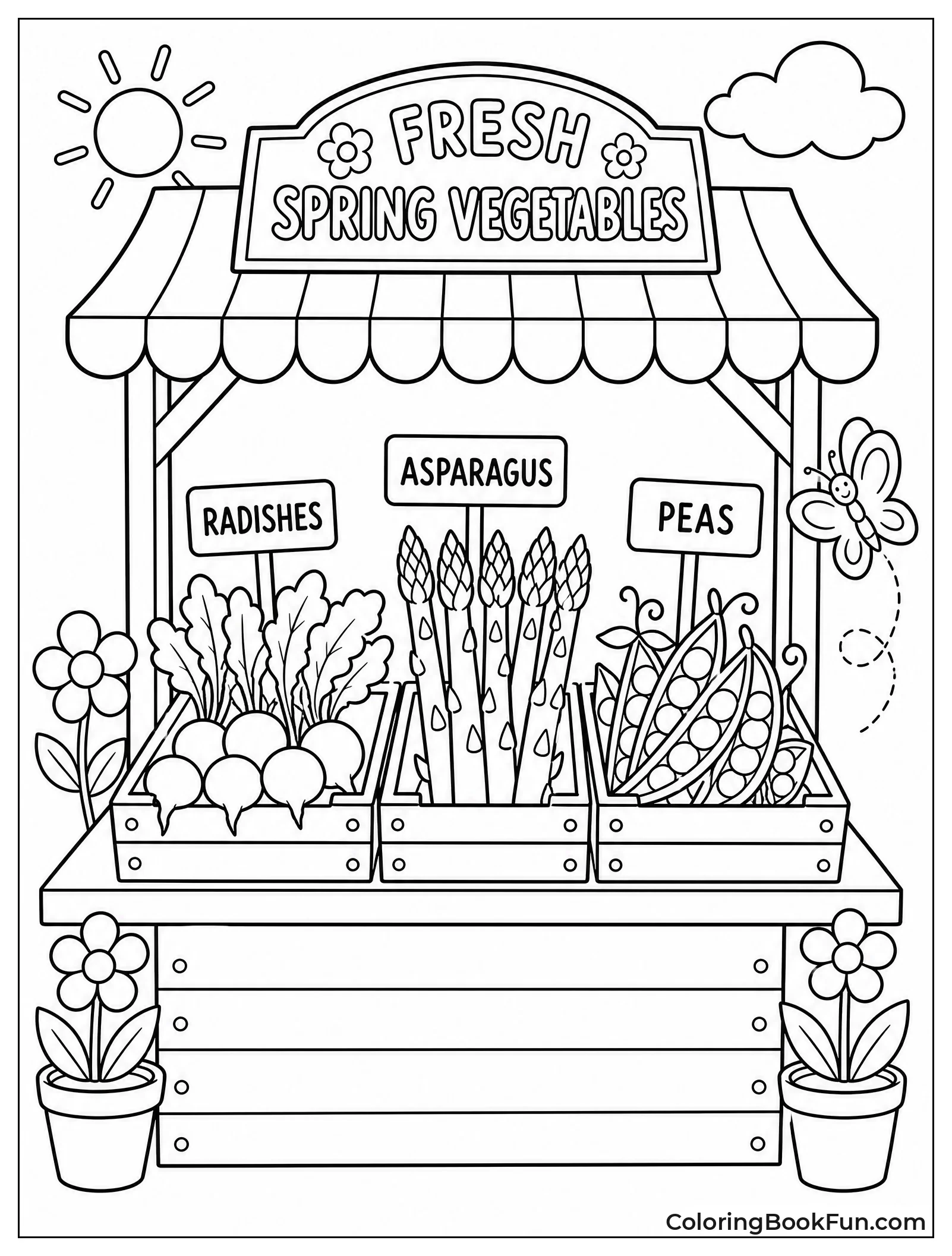 Stall Filled with Fresh Vegetables