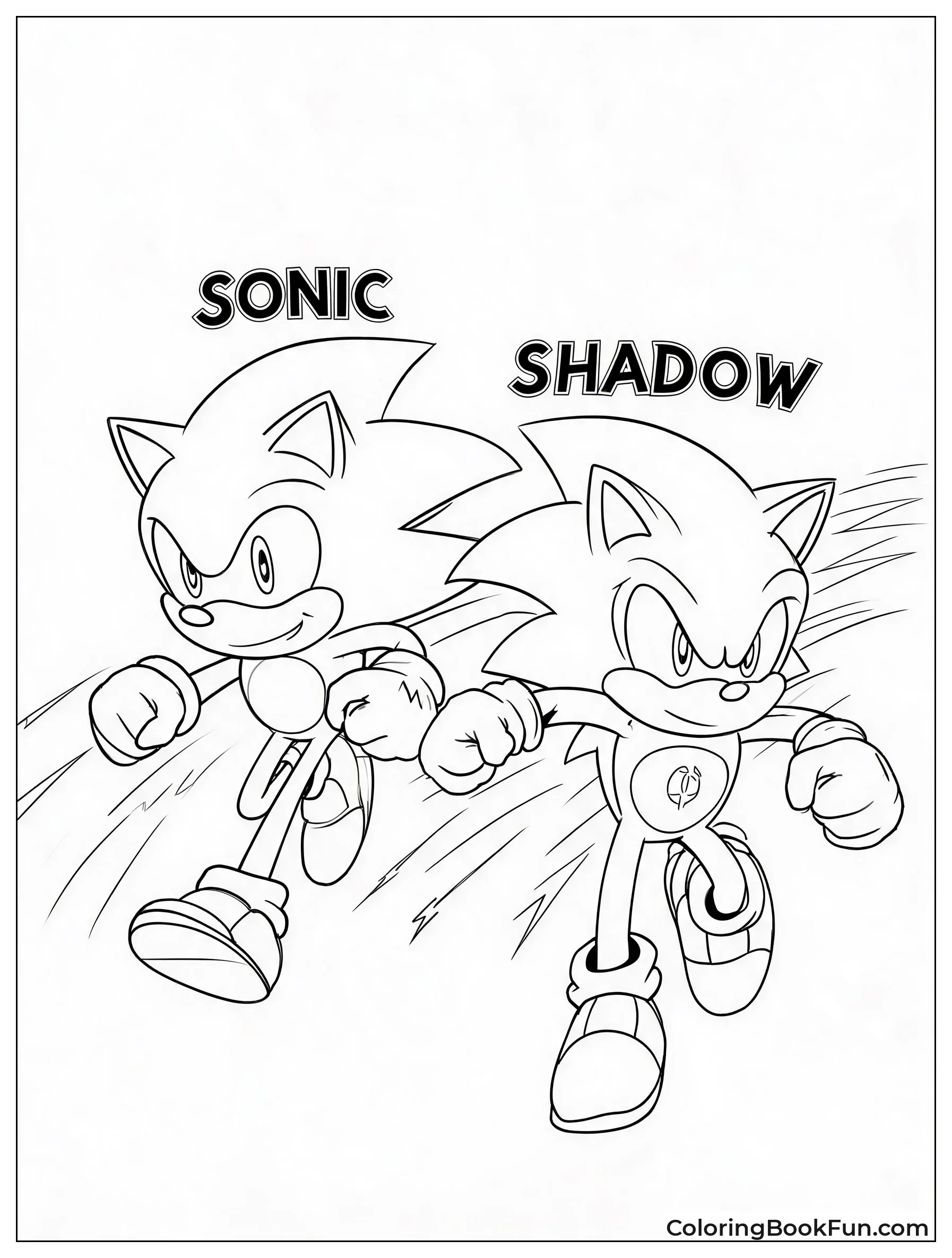 Sonic Races Shadow at High Speed