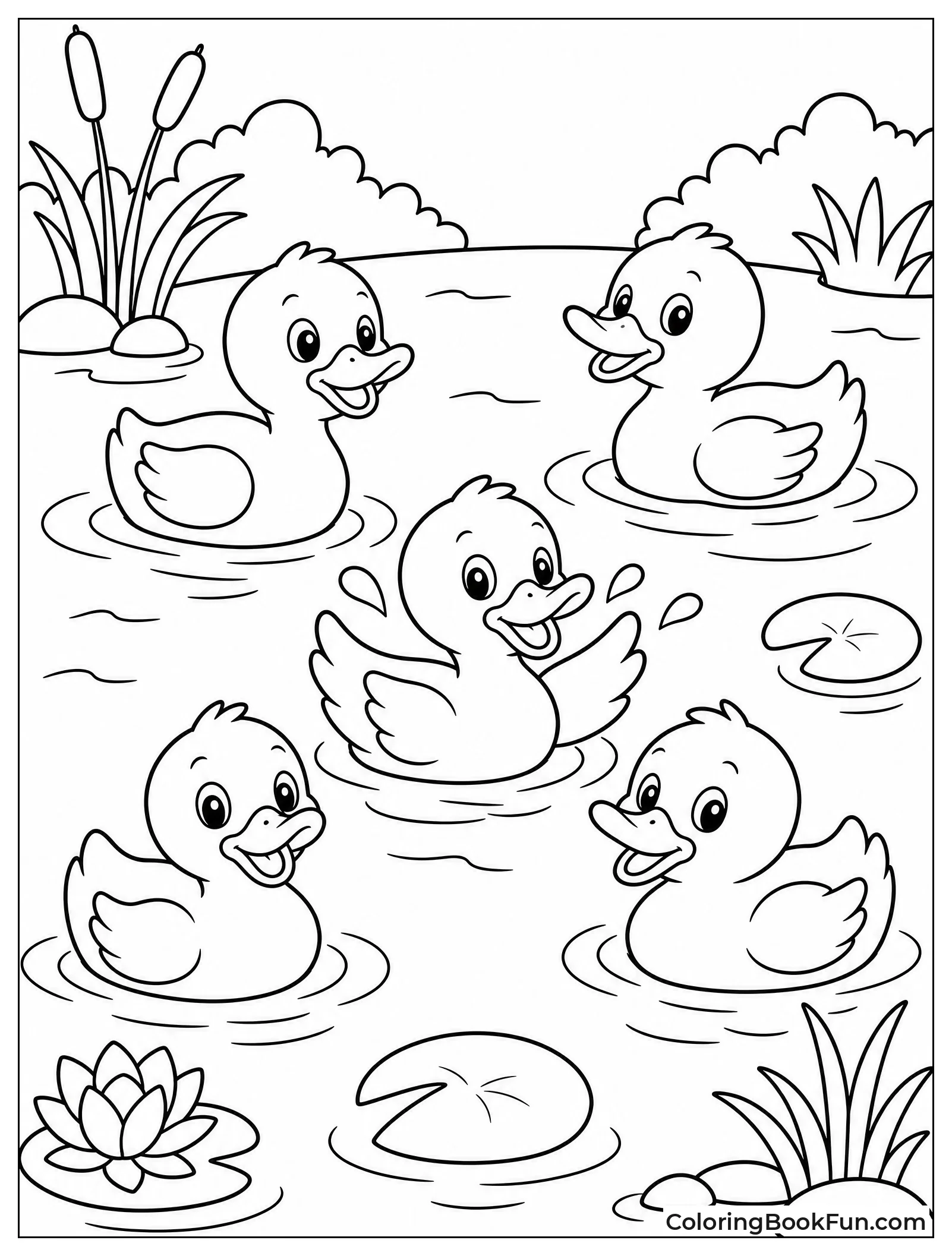 Ducks Swim in Pond