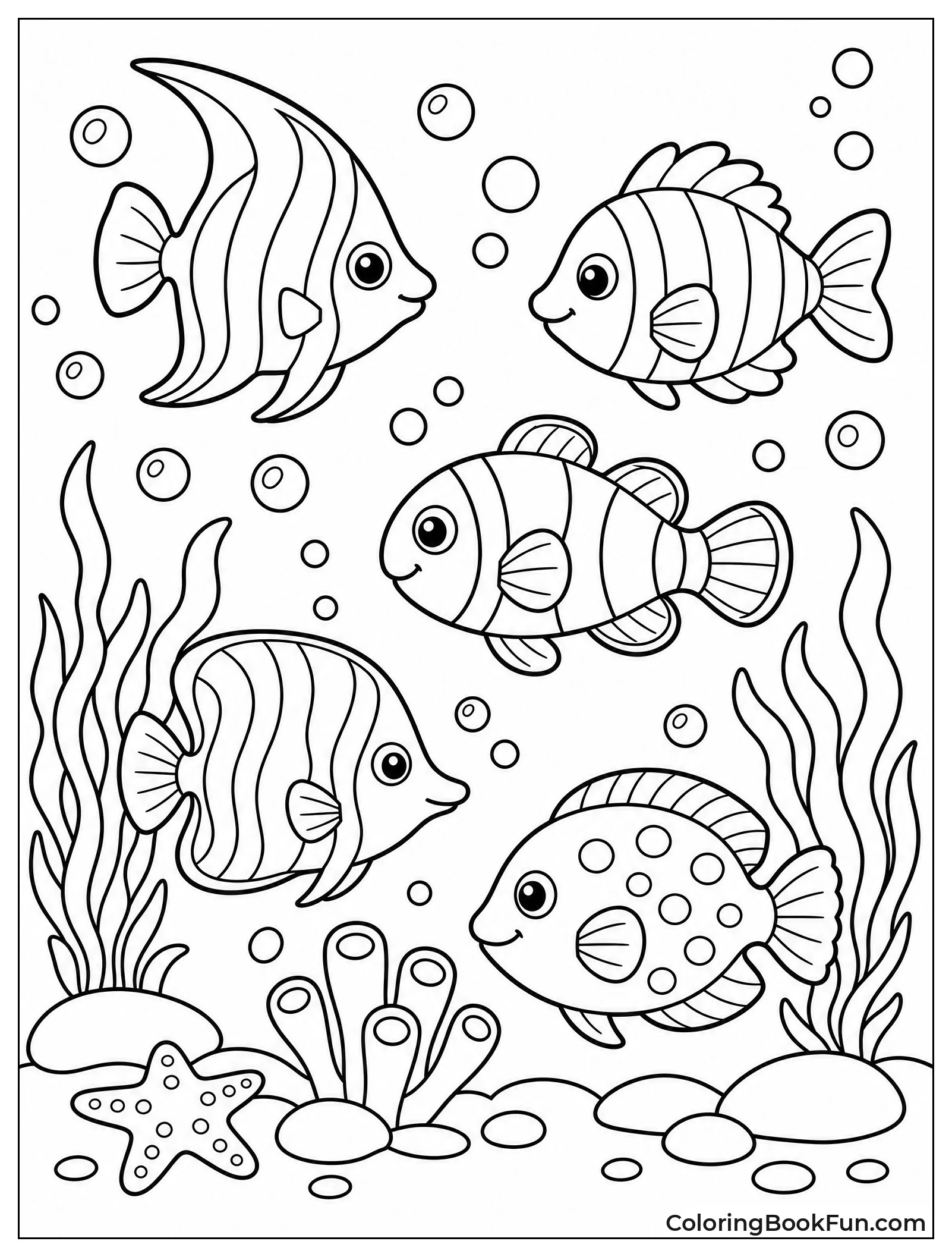 Tropical Fish Swim in Water