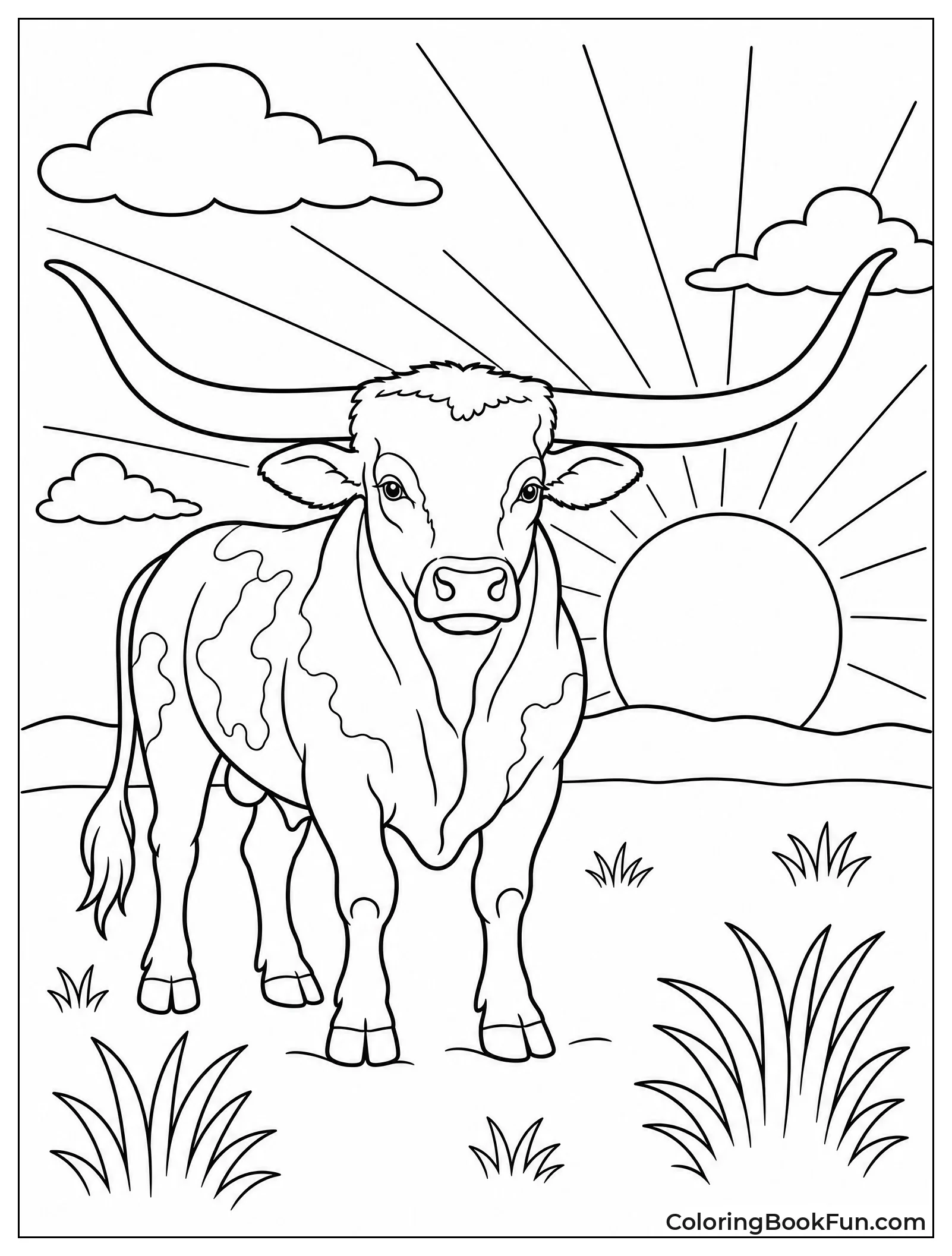 Longhorn Bull at Sunset
