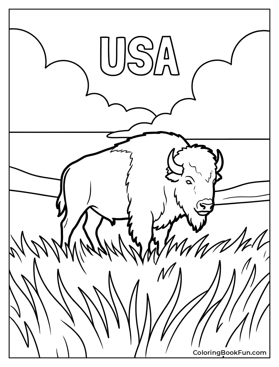 Bison Standing in Tall Grass