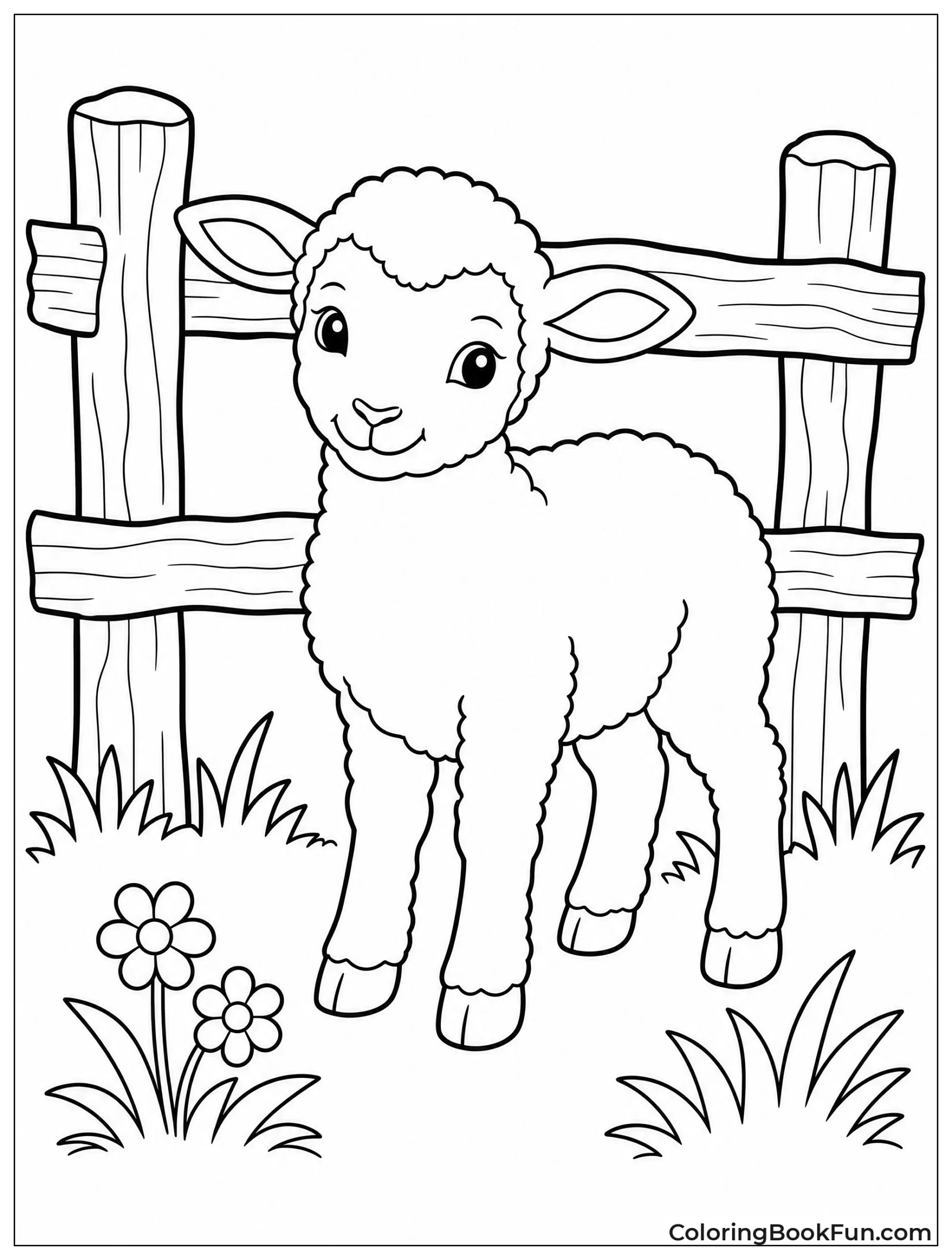 Lamb Stands by Split Rail Fence