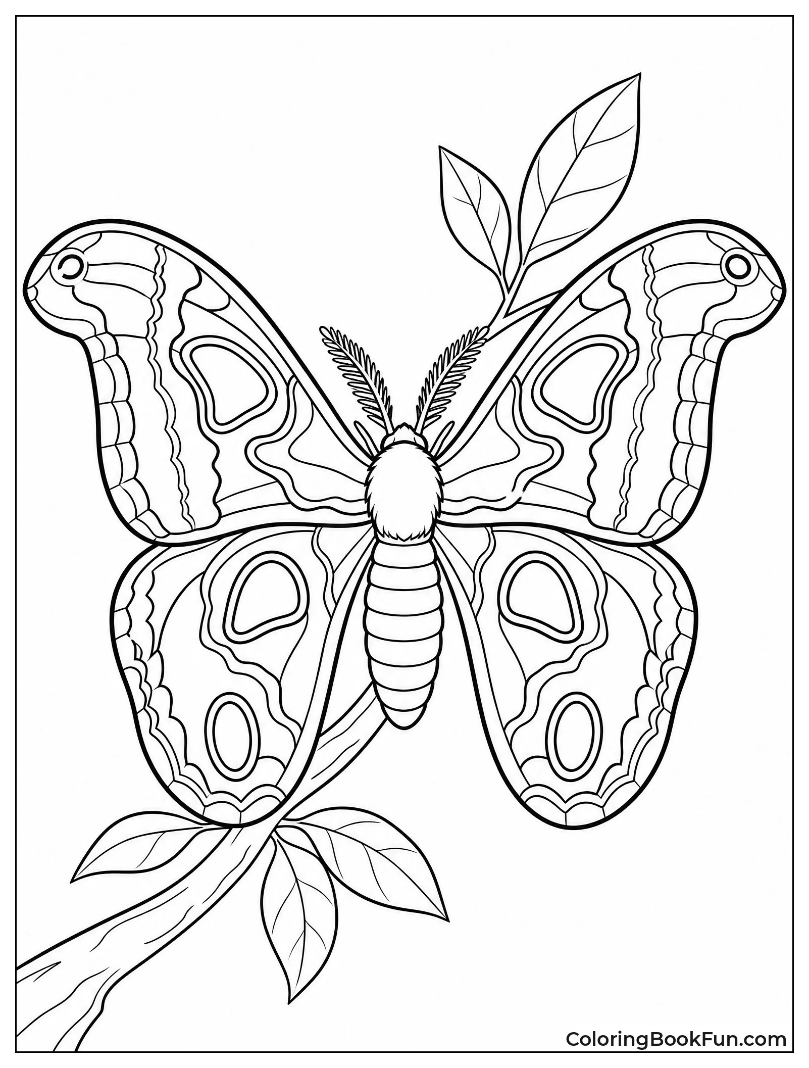 Giant Atlas Moth with Snake Patterns