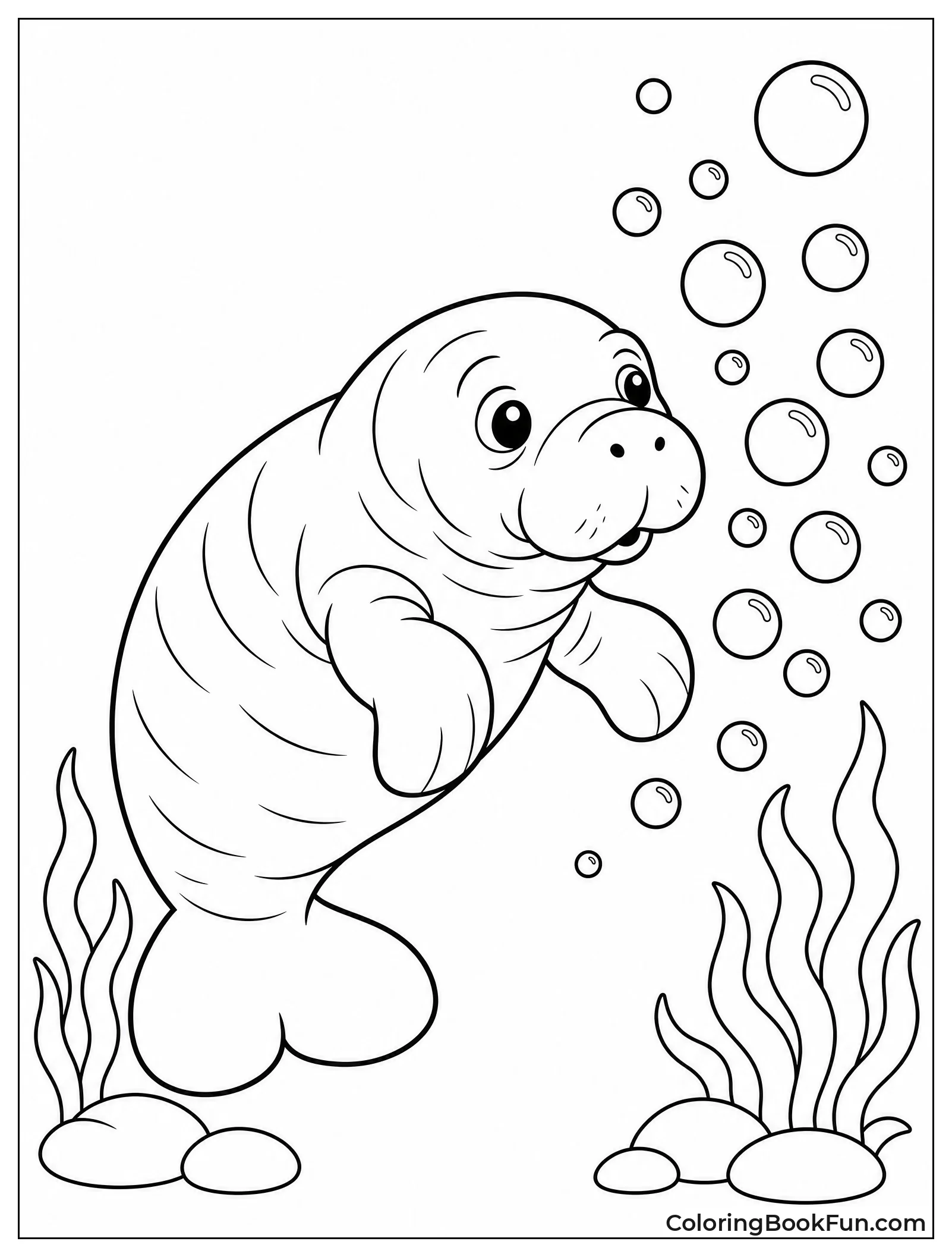 Baby Manatee Exploring Bubbles