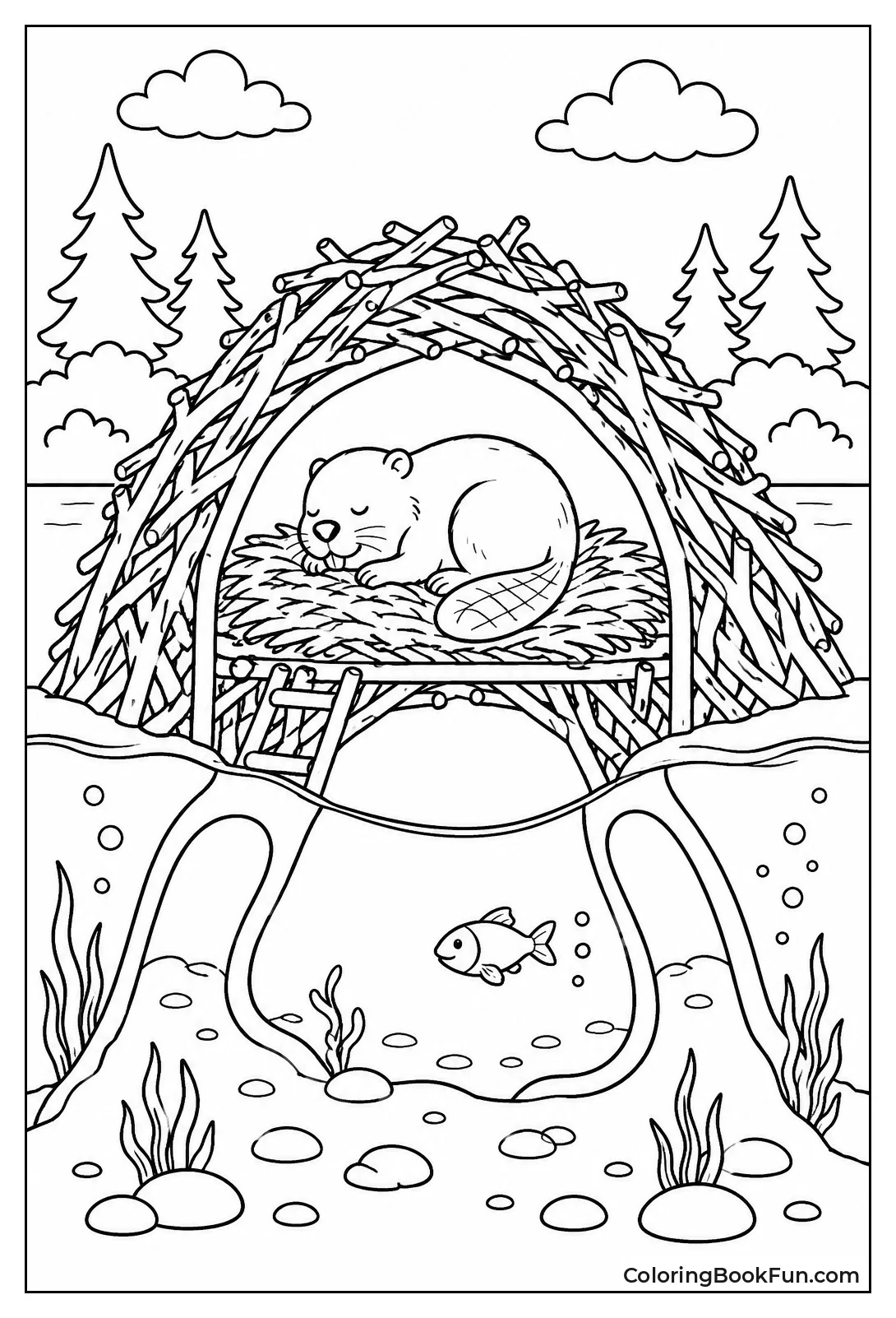 Inside View of Beaver Lodge