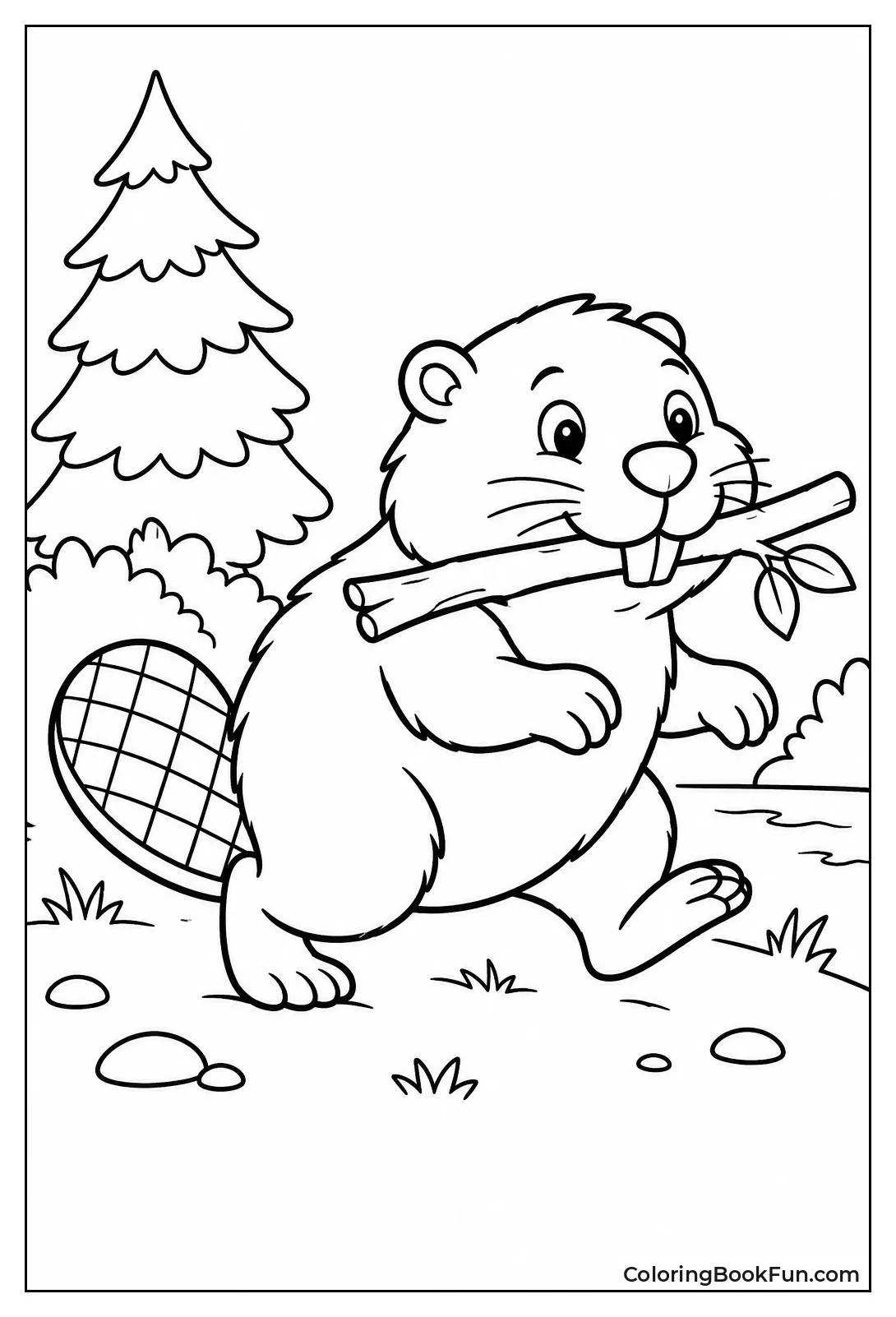 Beaver Waddles on Land With Stick