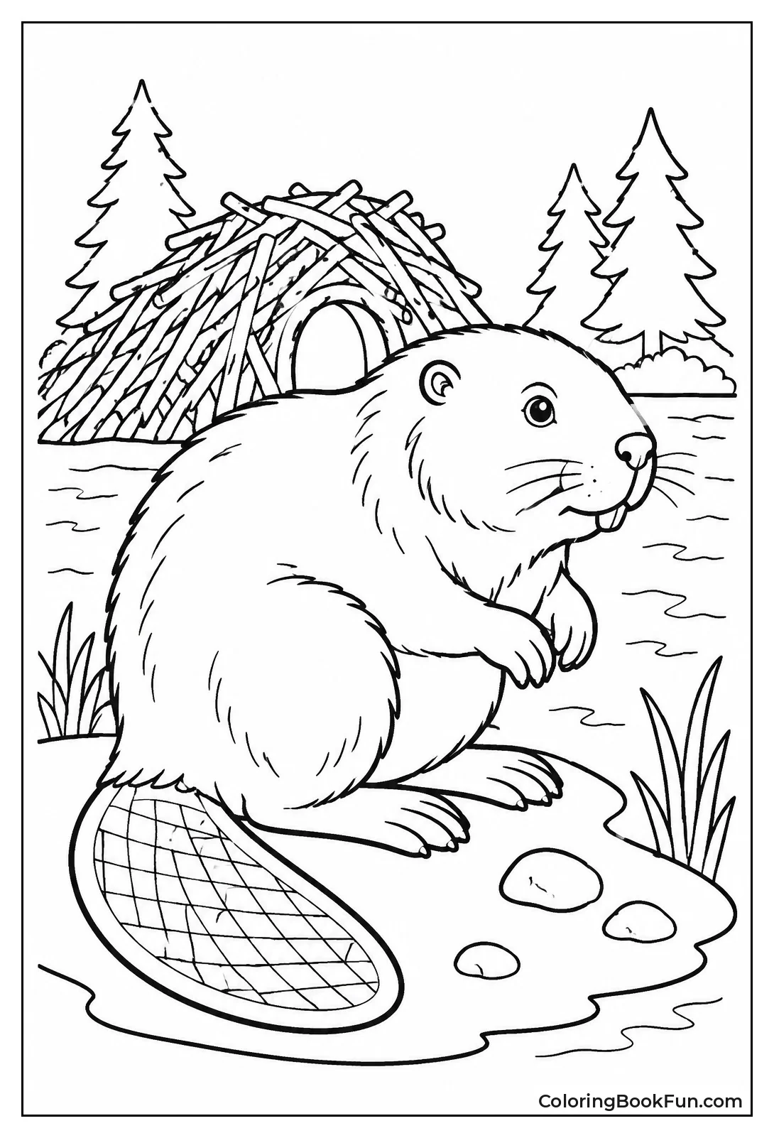 Vintage Sketch of Beaver Pose