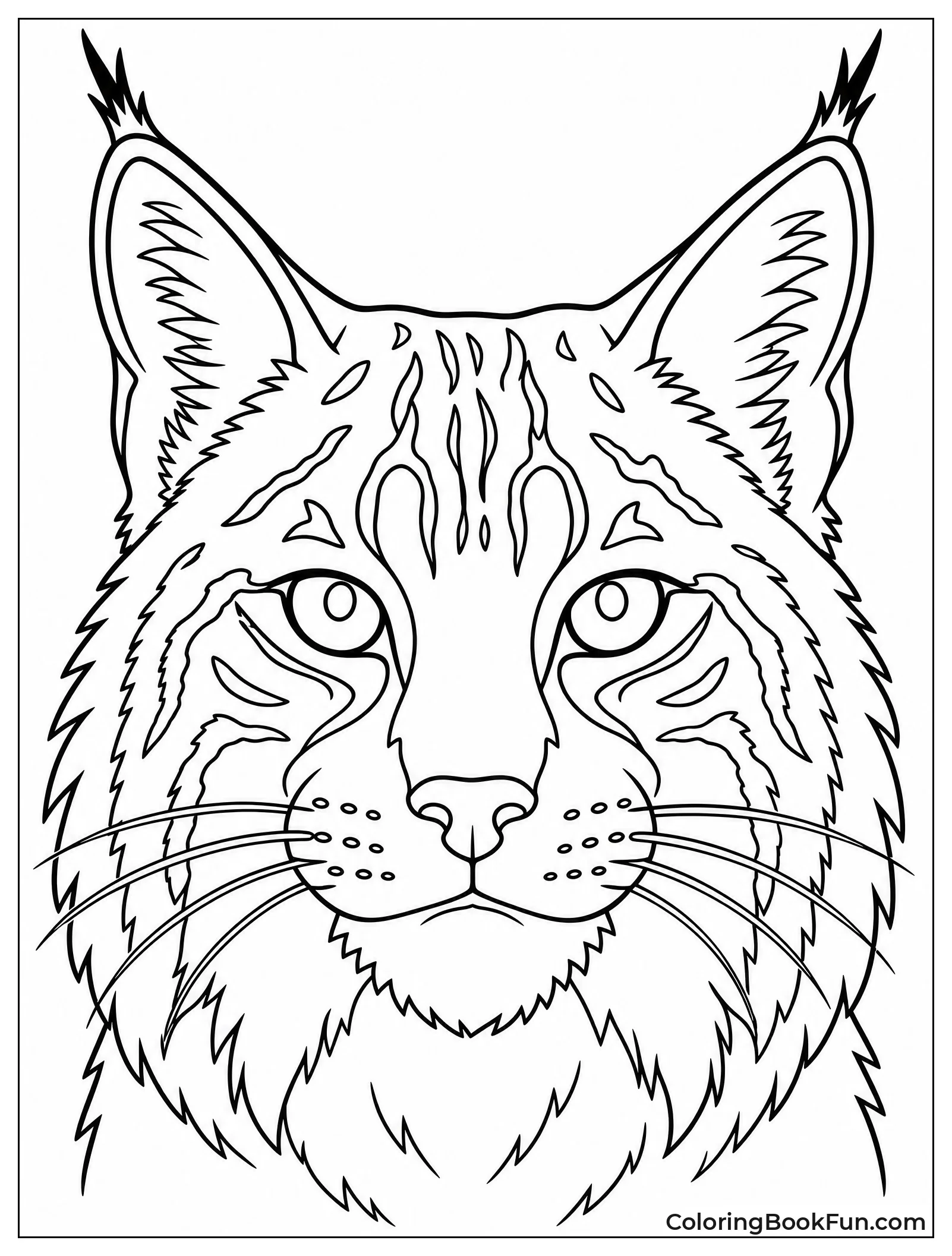 Bobcat Face Showing Ear Tufts