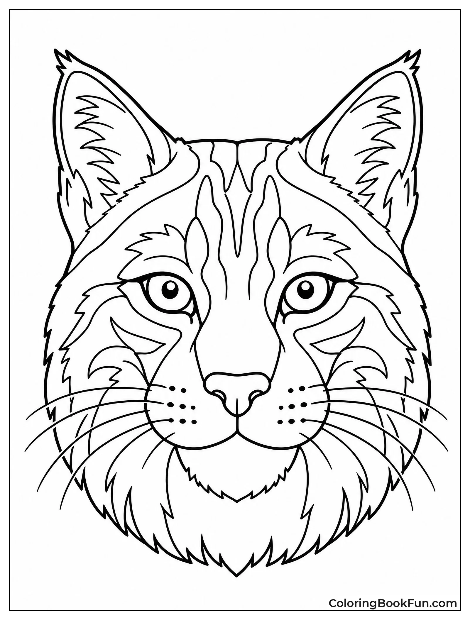 Symmetrical Bobcat Face Portrait
