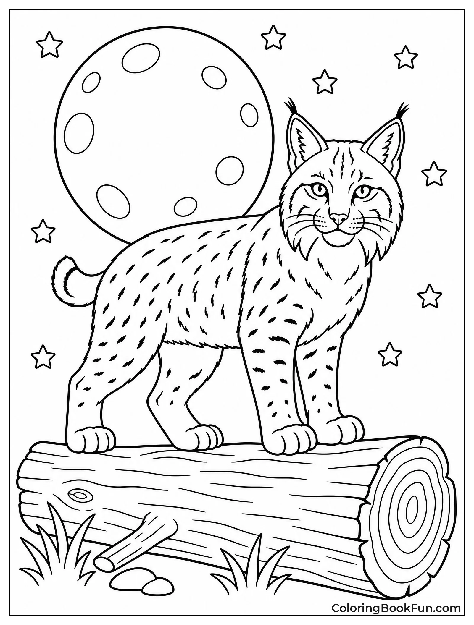 Bobcat Under Full Moon