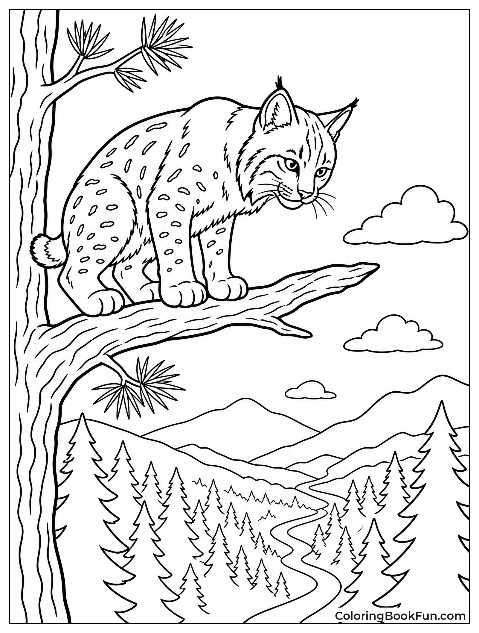 Bobcat Perched High on Branch