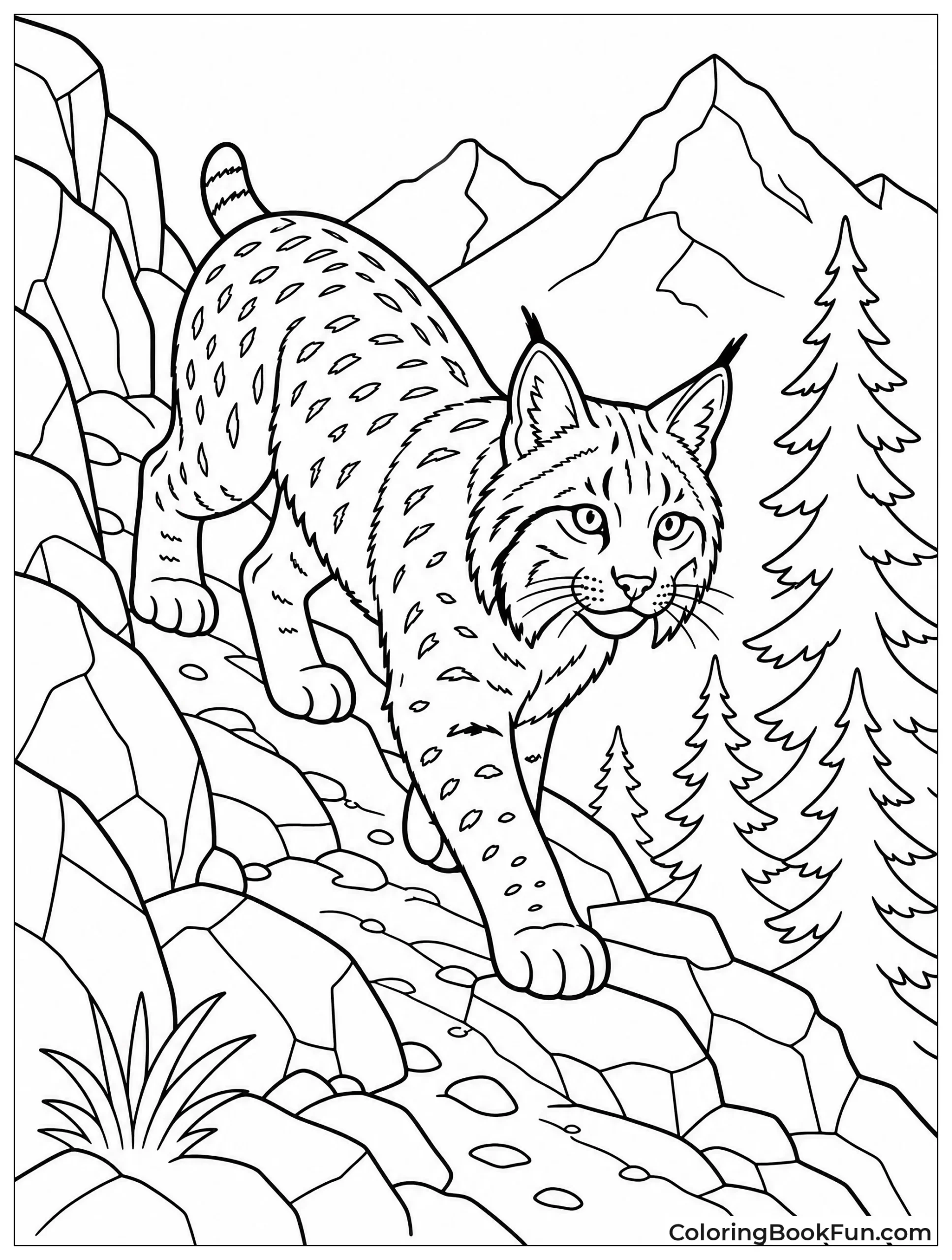 Bobcat Walking on Mountain Trail