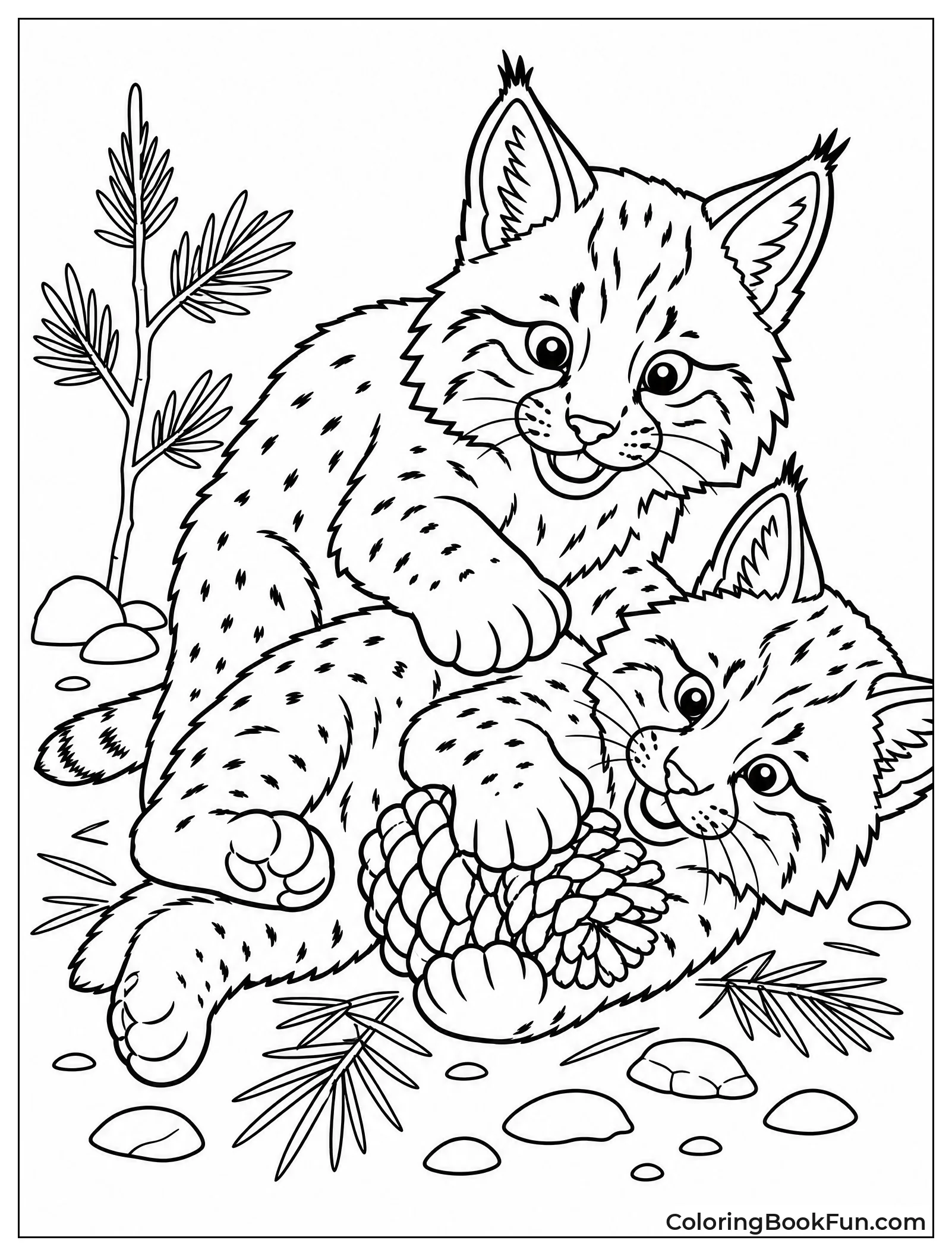 Two Bobcat Kittens Playing