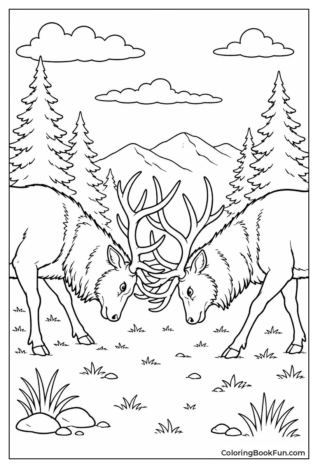 Two Bull Elk Locking Antlers