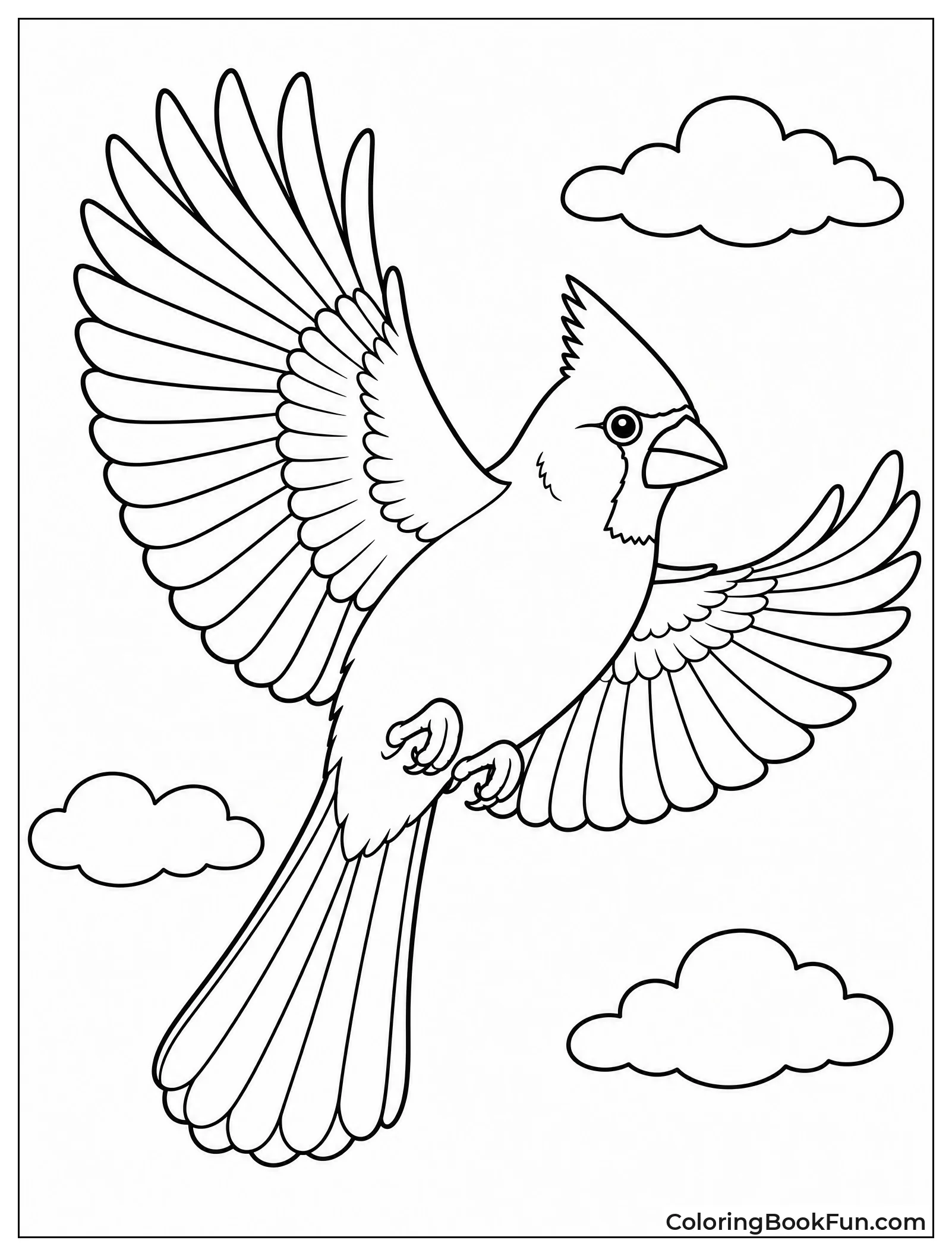 Cardinal Flying with Wings Spread Wide