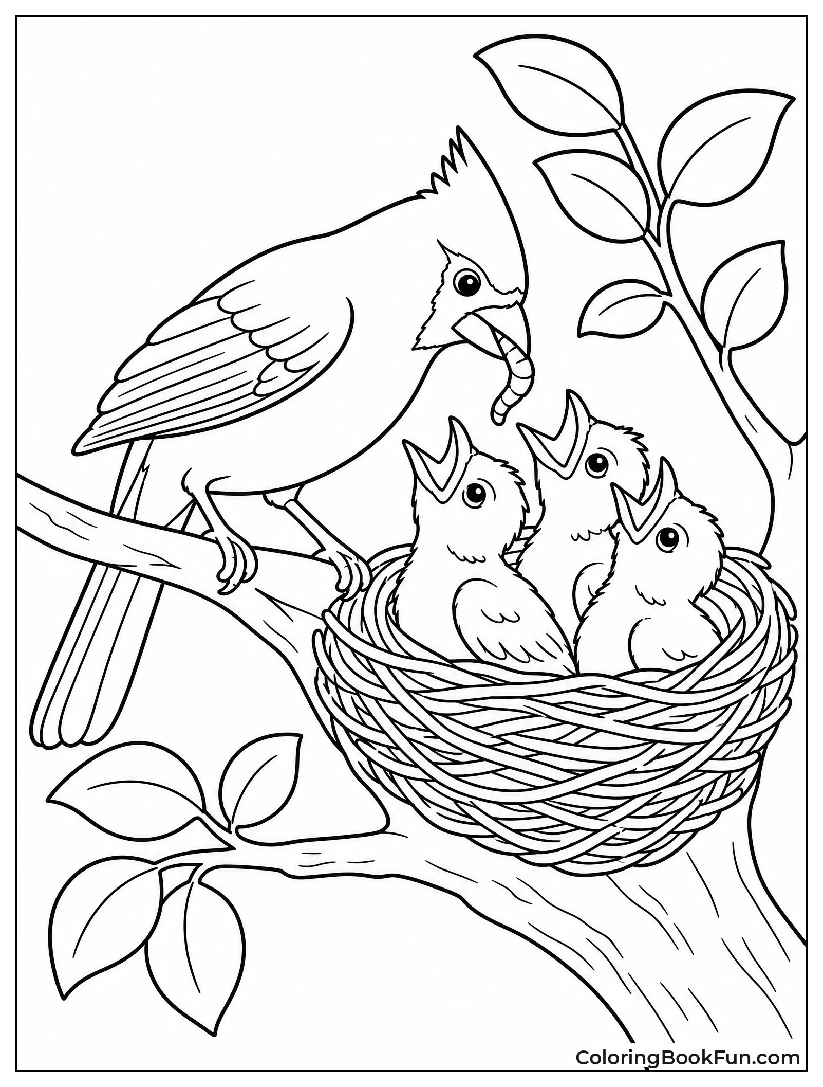 Mother Cardinal Feeding Chicks in Nest