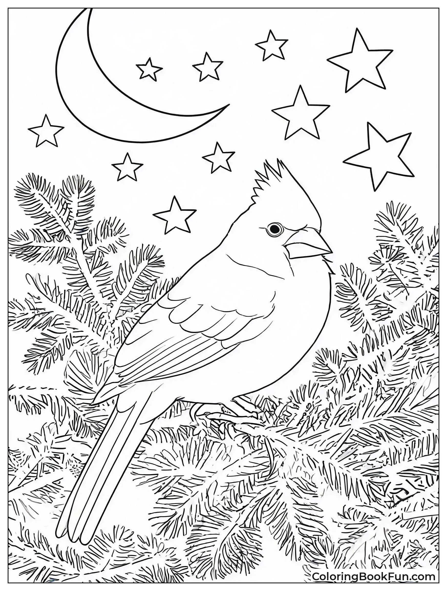Cardinal Sleeping Under Moon and Stars