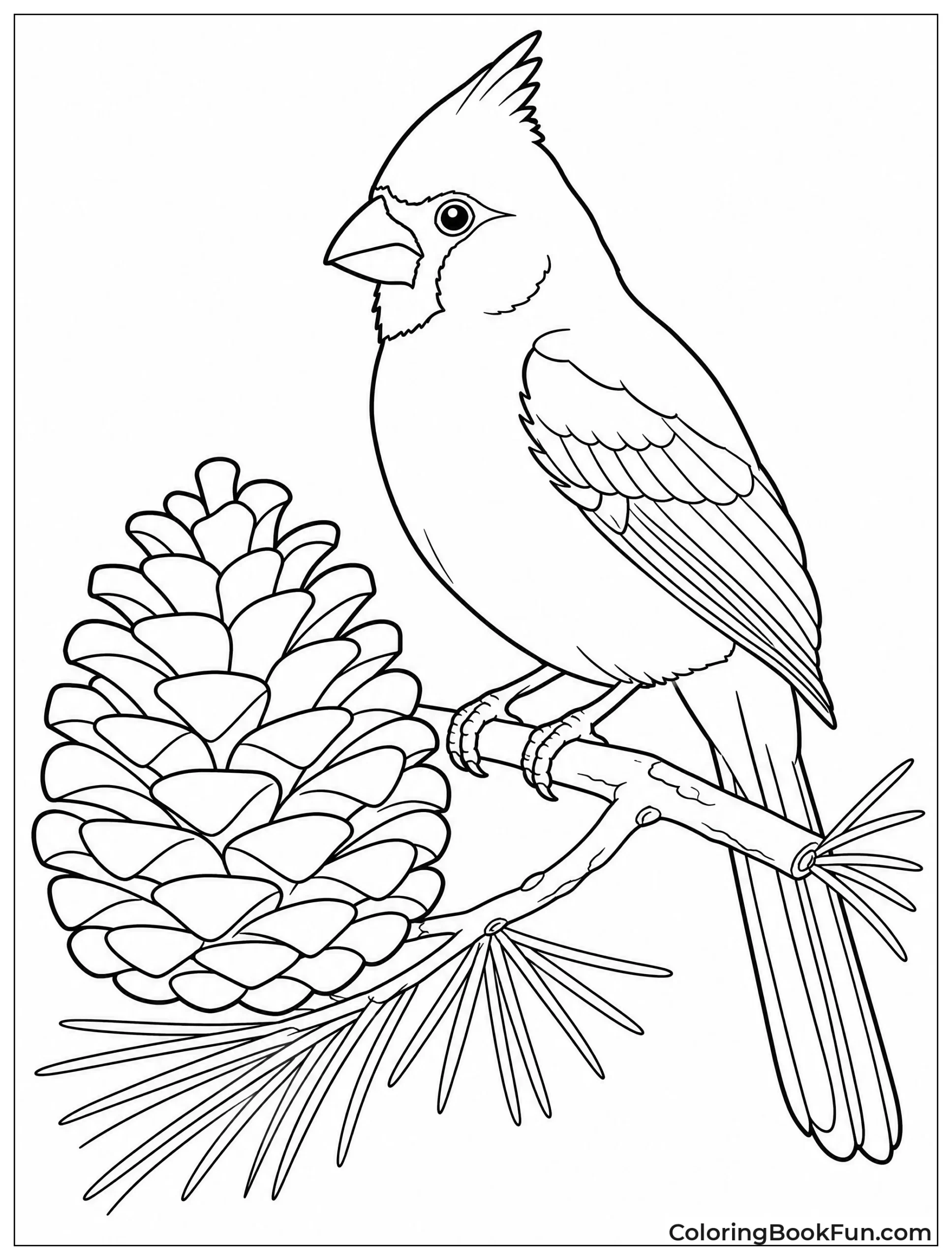 Cardinal Beside Large Pinecone on Branch