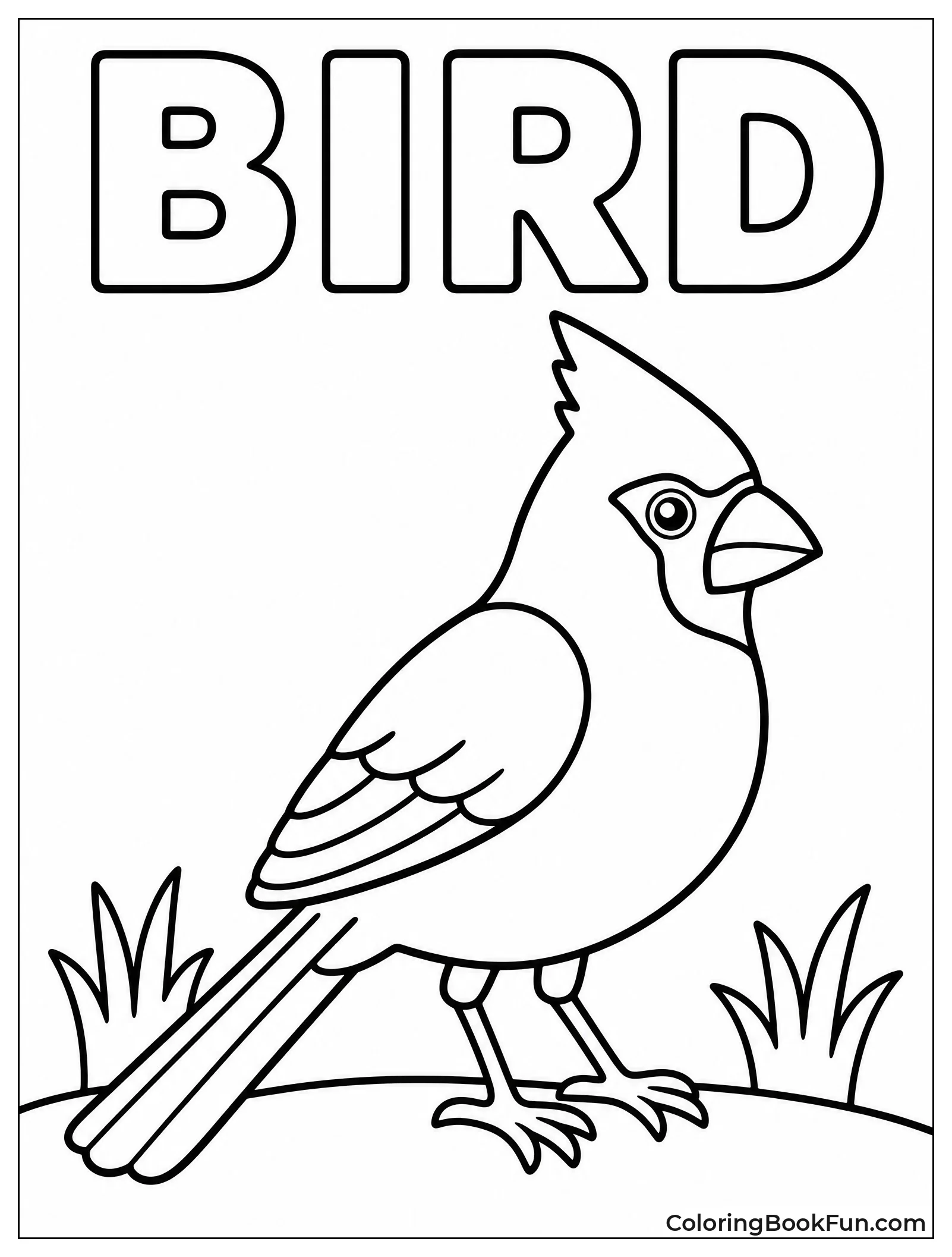 Simple Cardinal Outline for Little Kids