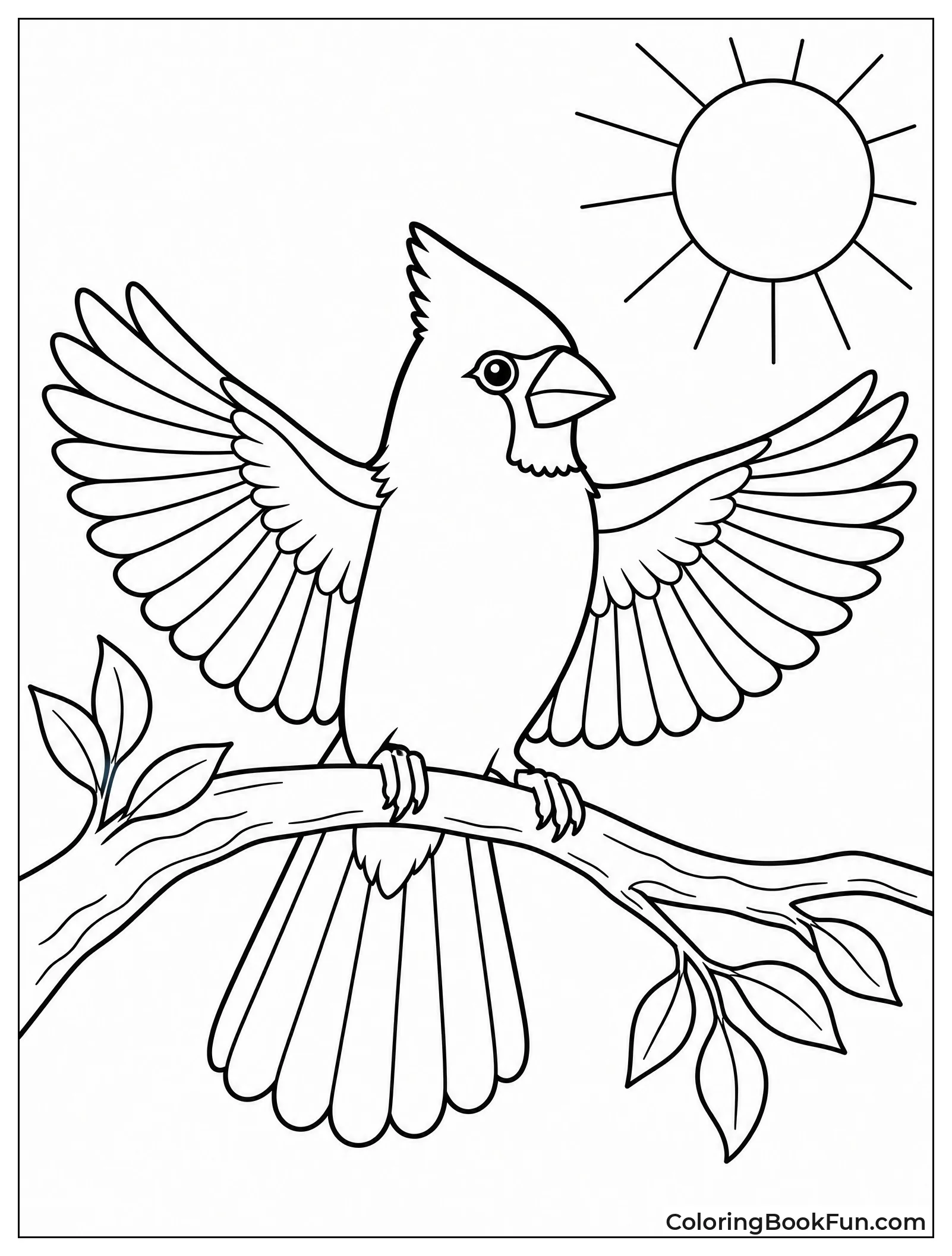 Cardinal Sunbathing on a Branch