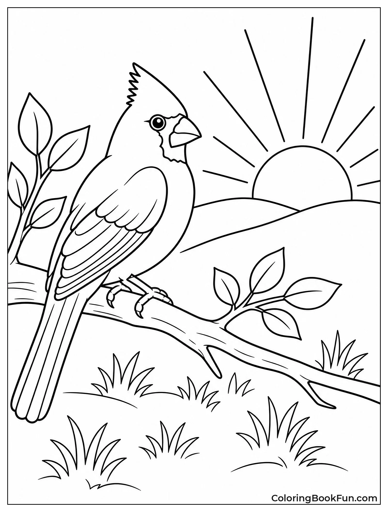 Cardinal Watching Sunrise over Meadow