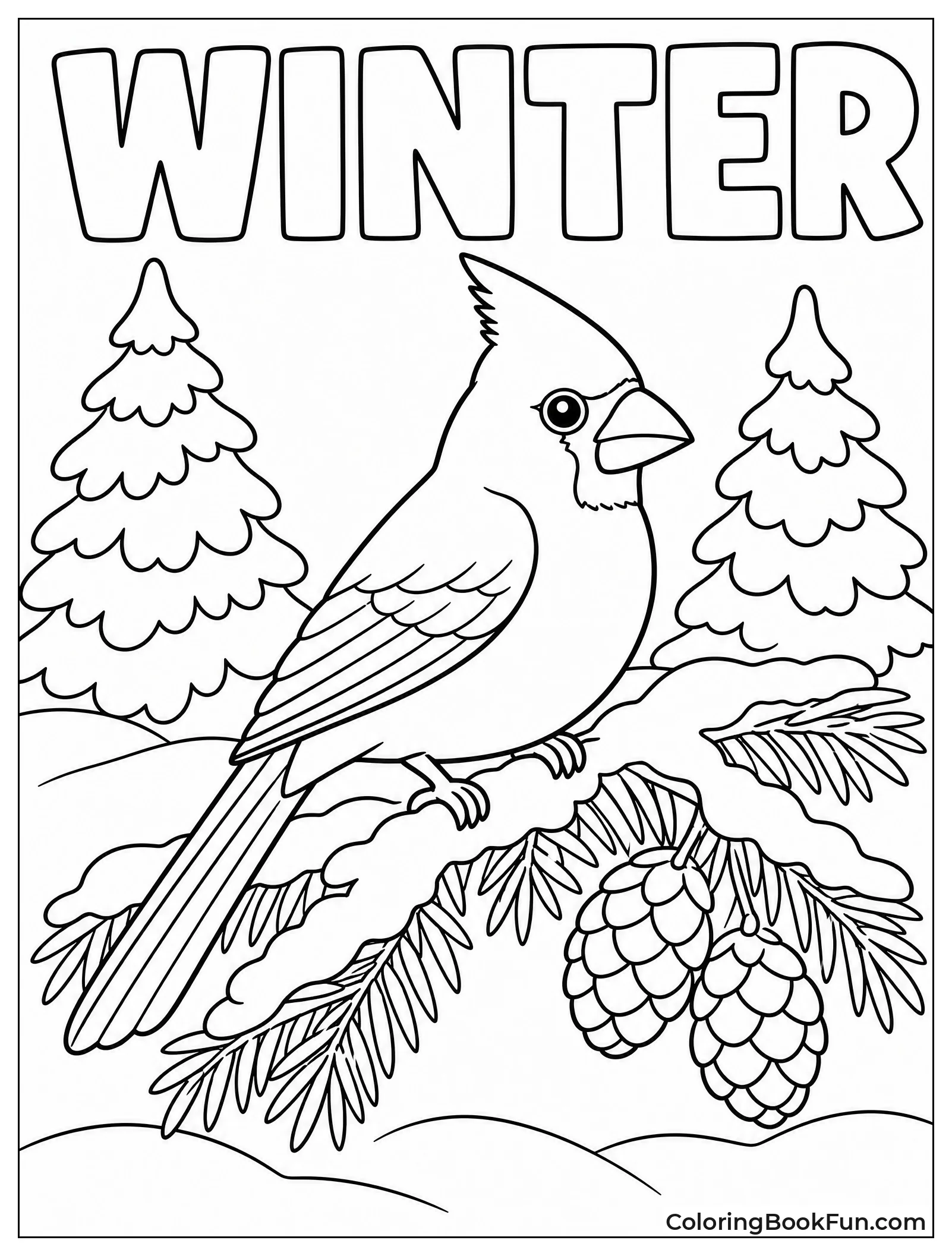 Cardinal on Snowy Evergreen Branch