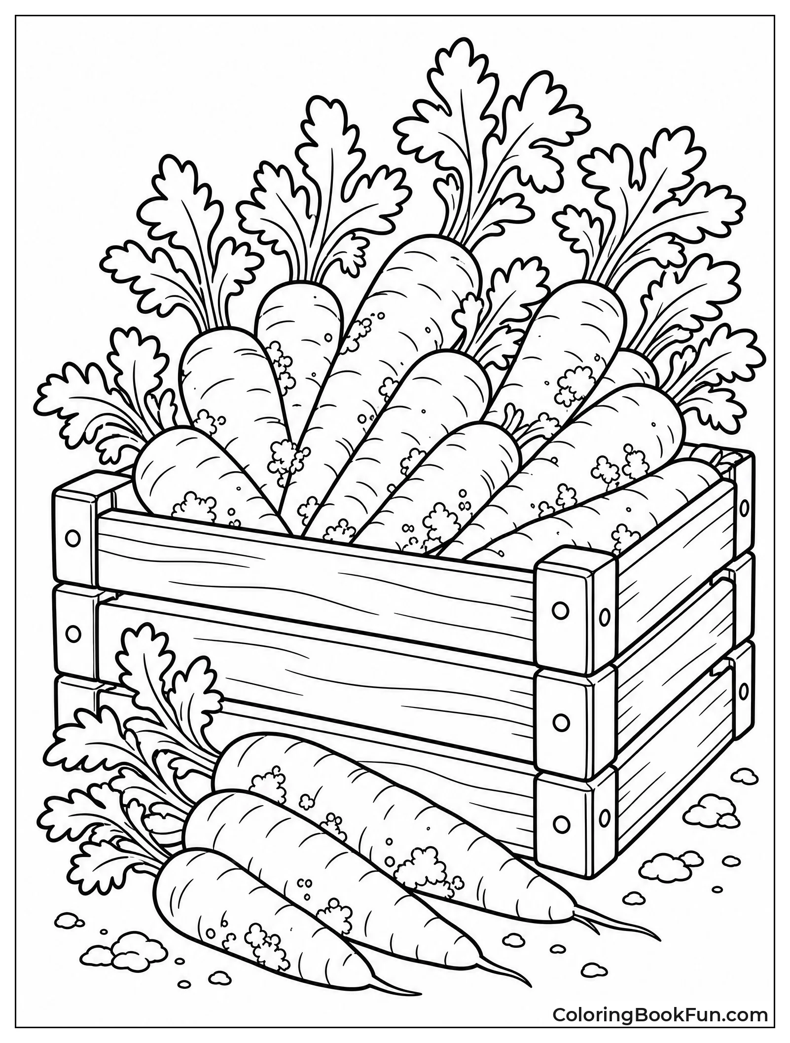 Crate Full of Fresh Carrots