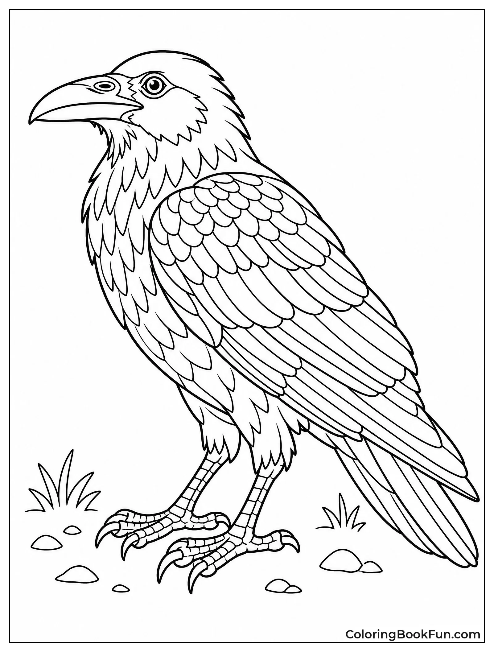 Raven with Detailed Feather Patterns