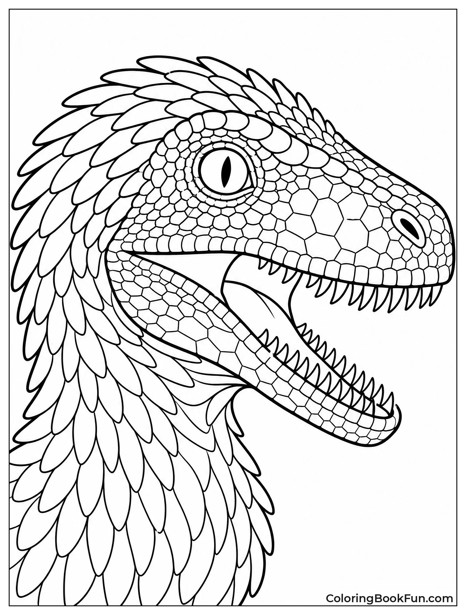 Detailed Velociraptor Head Close Up
