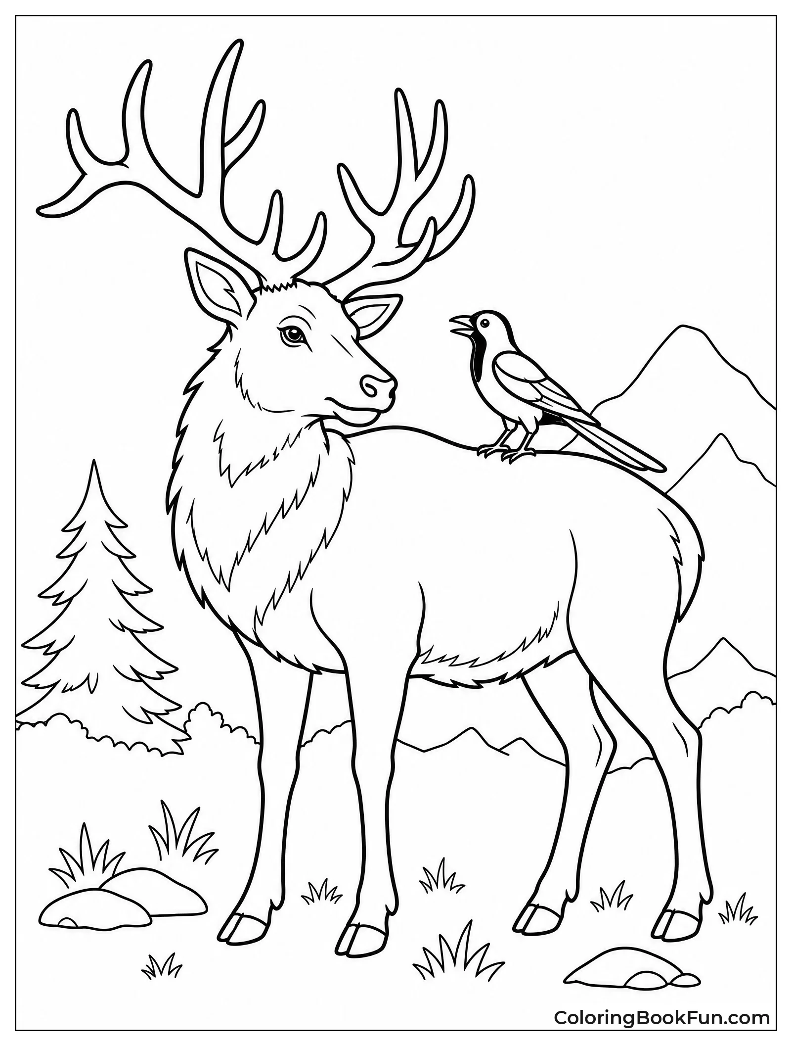 Magpie Perched on Elk Back