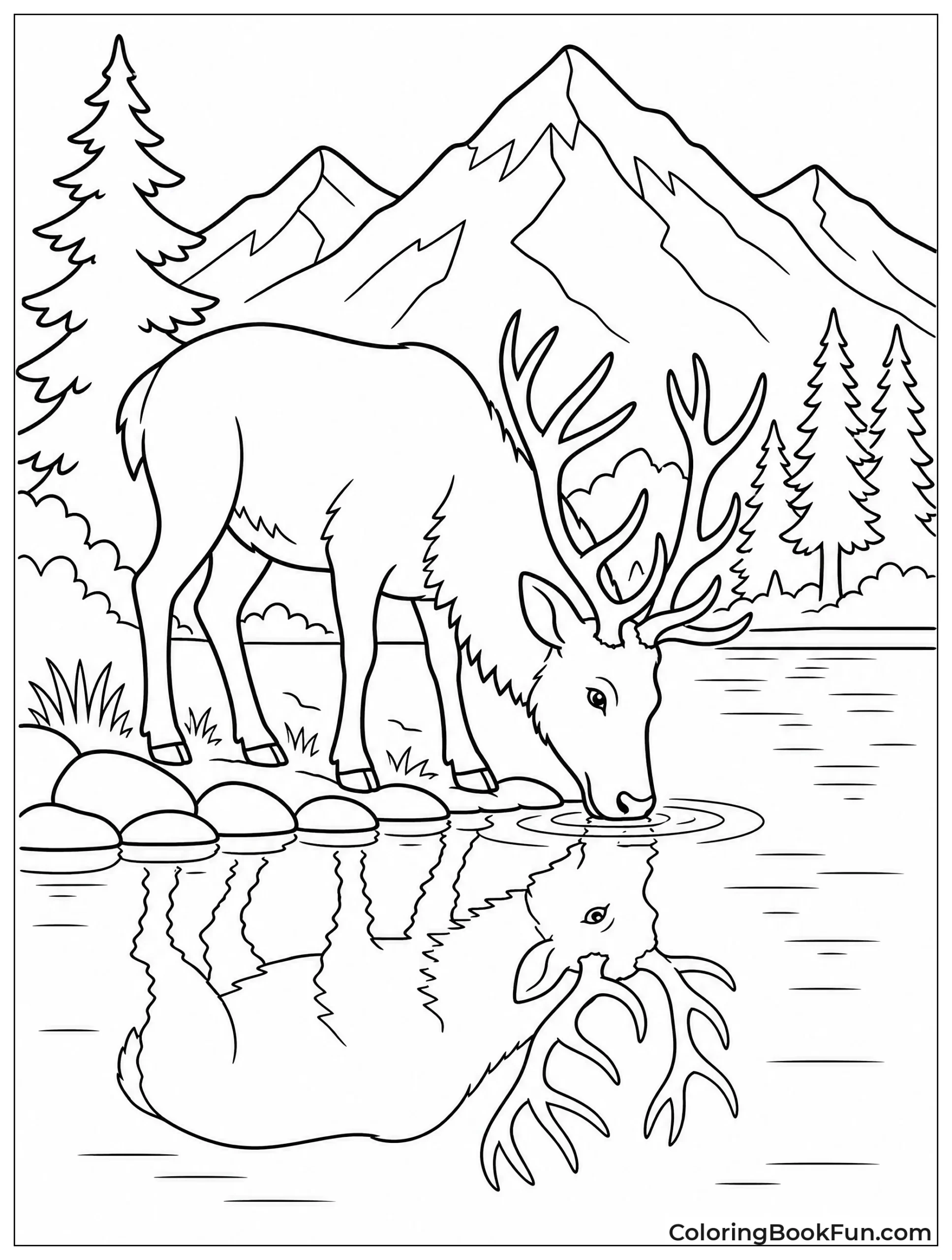 Elk Drinking at Mountain Lake