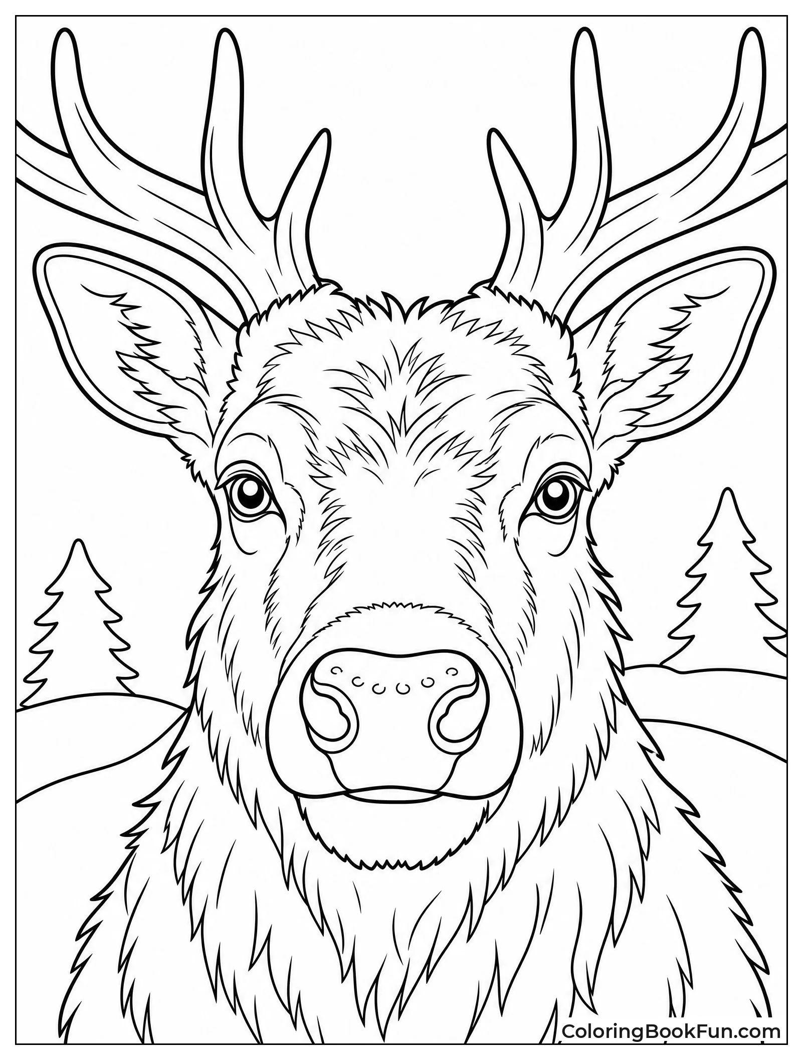 Close Up of Elk Face