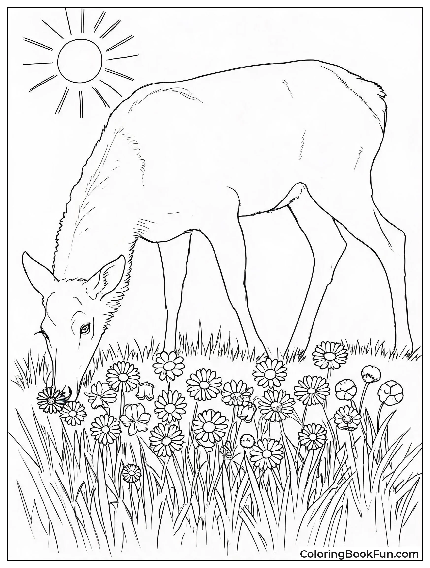 Elk Grazing on Wildflowers