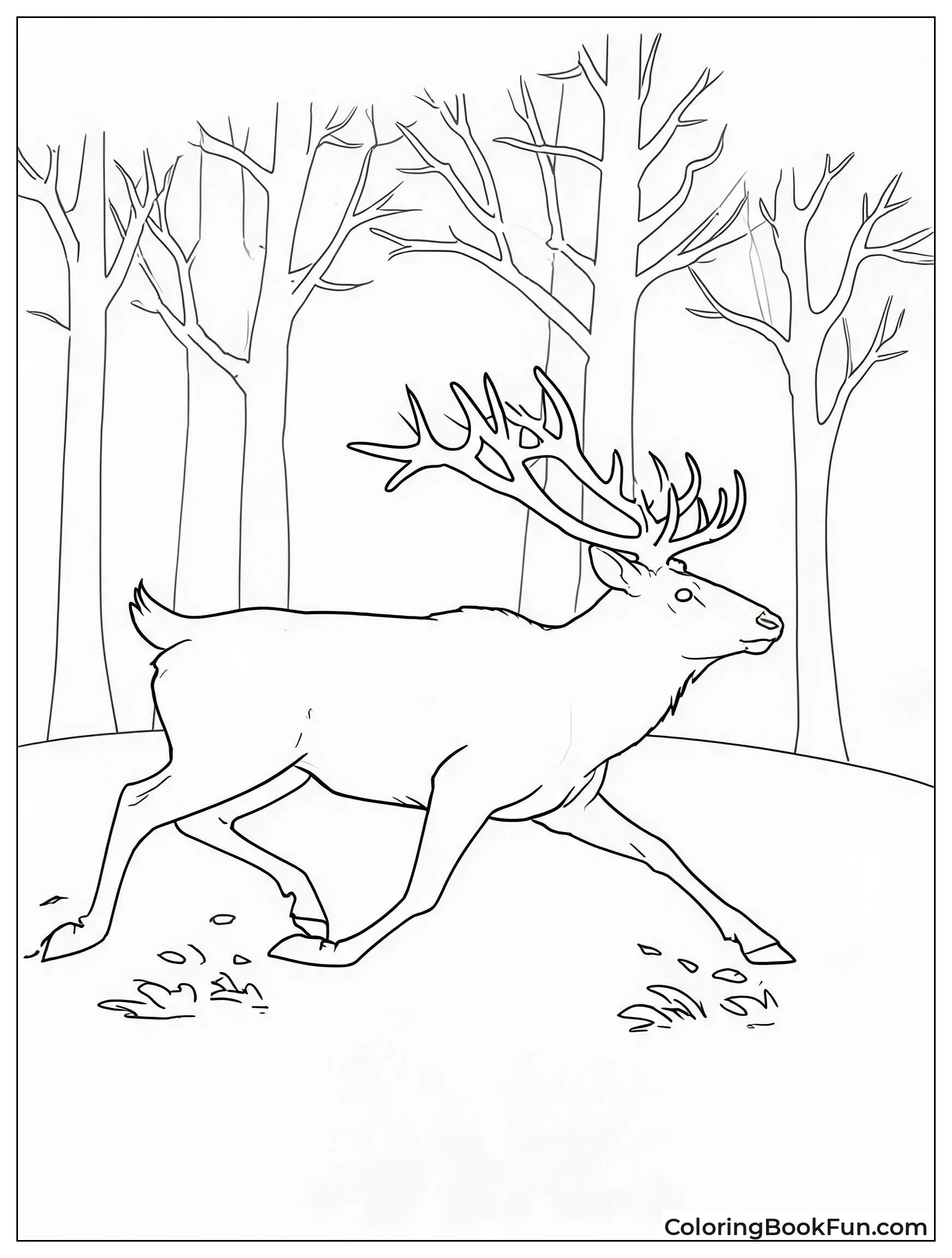Bull Elk Running Through Woods