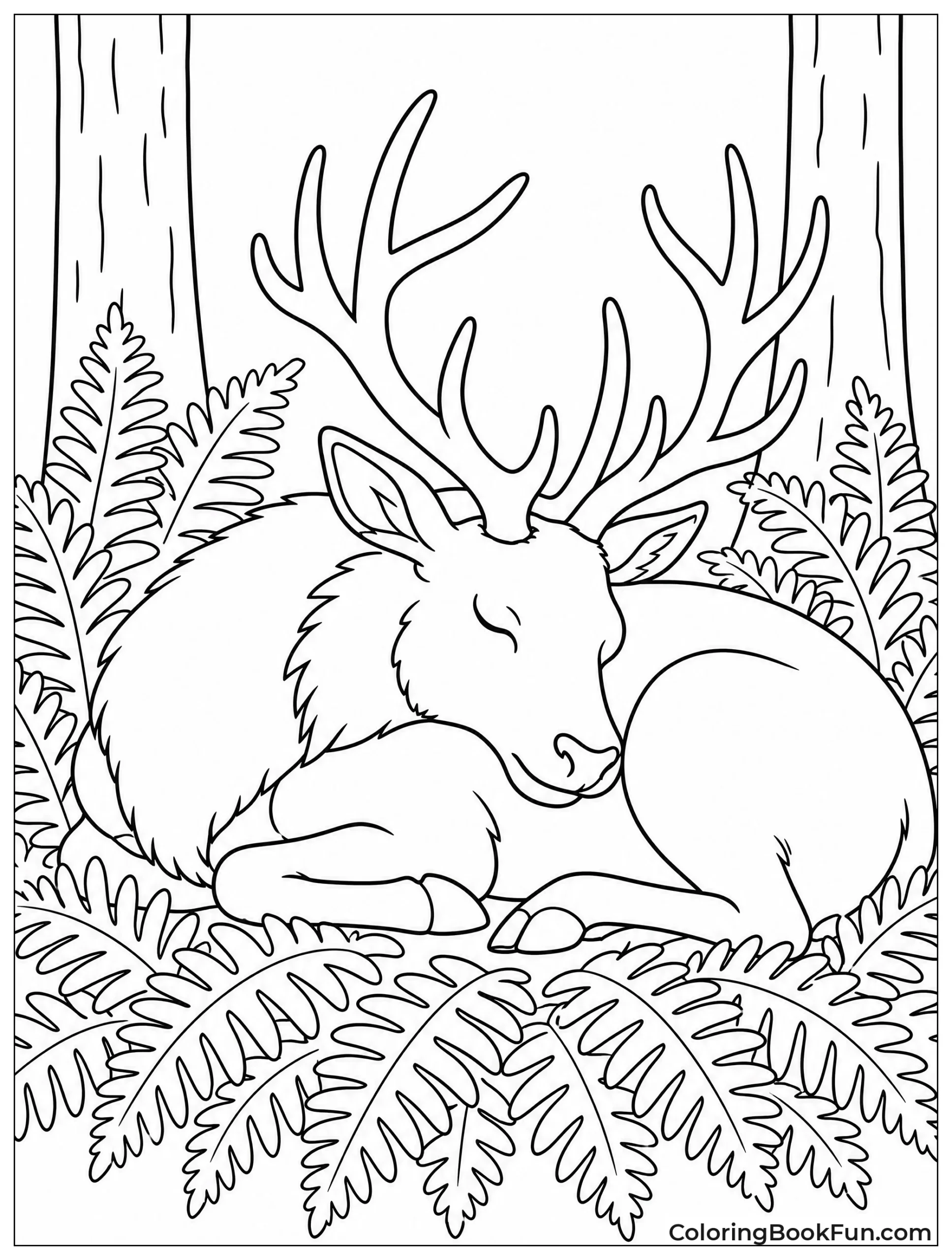 Elk Sleeping in Ferns