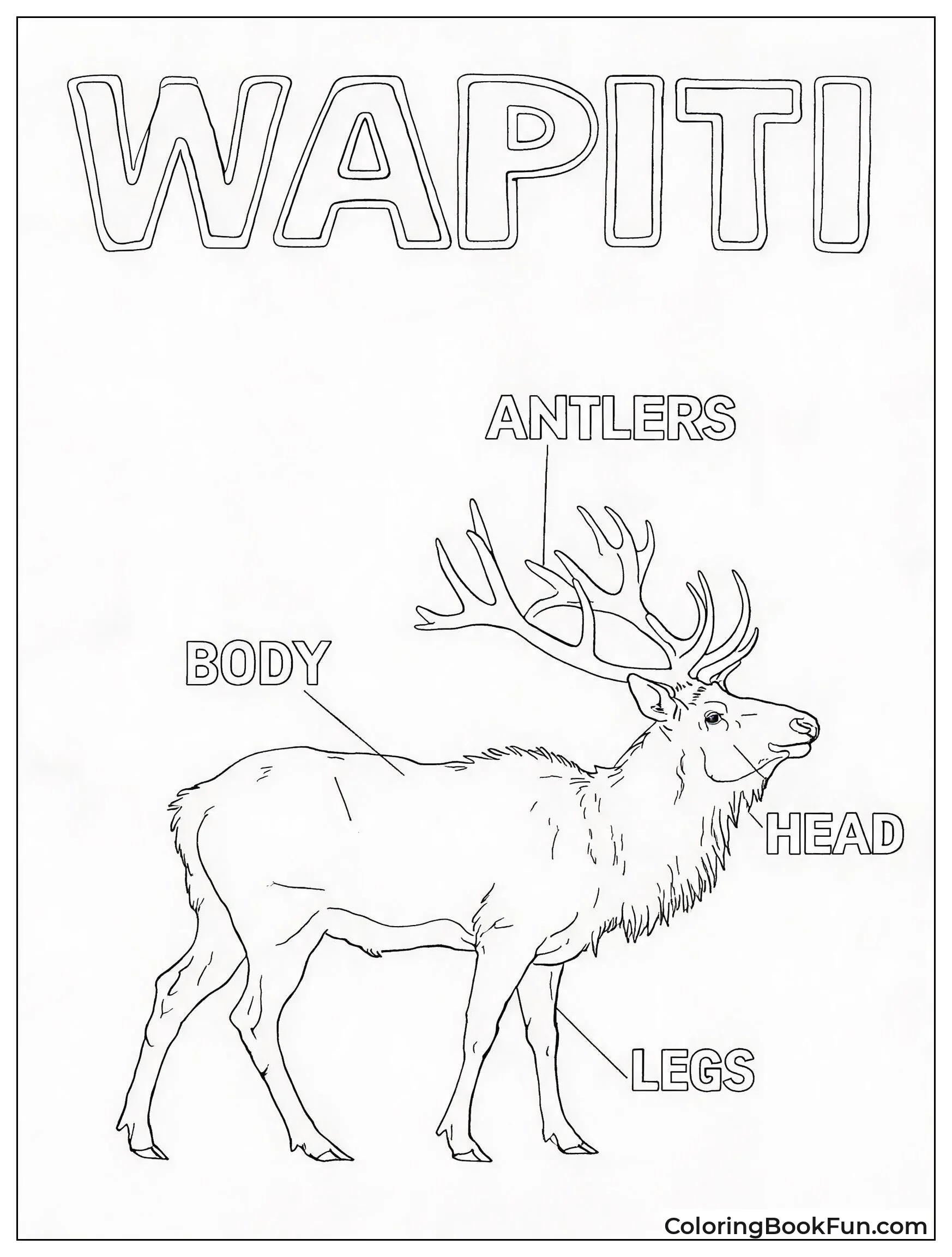 Vintage Sketch of an Elk