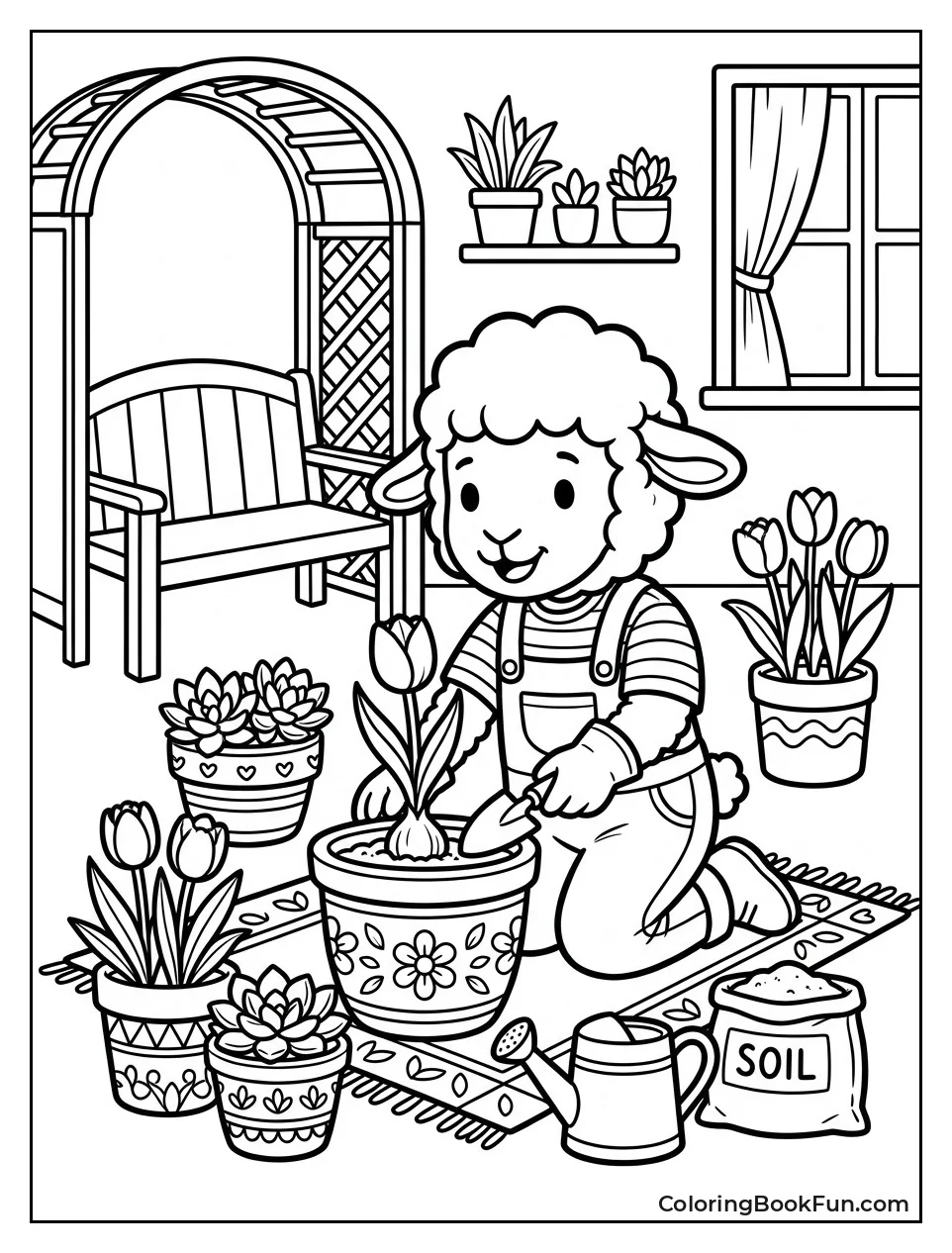 Lamb Plants Flowers in Pots