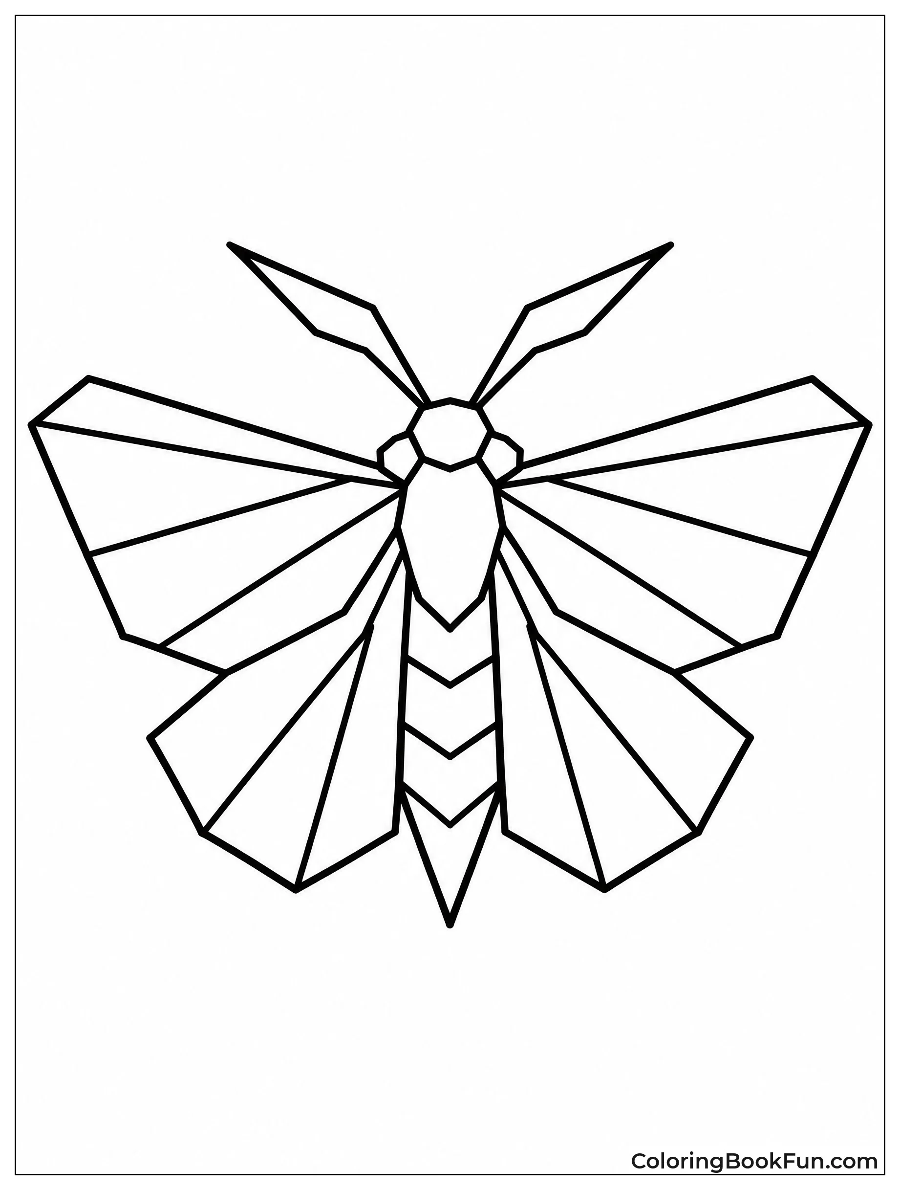 Moth Made from Sharp Lines