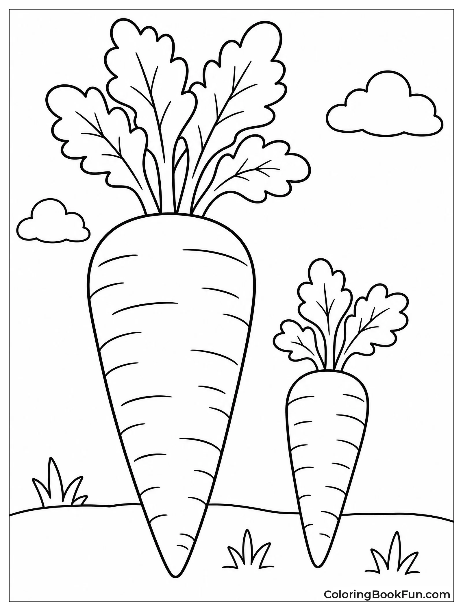 Giant Carrot Next to Small One