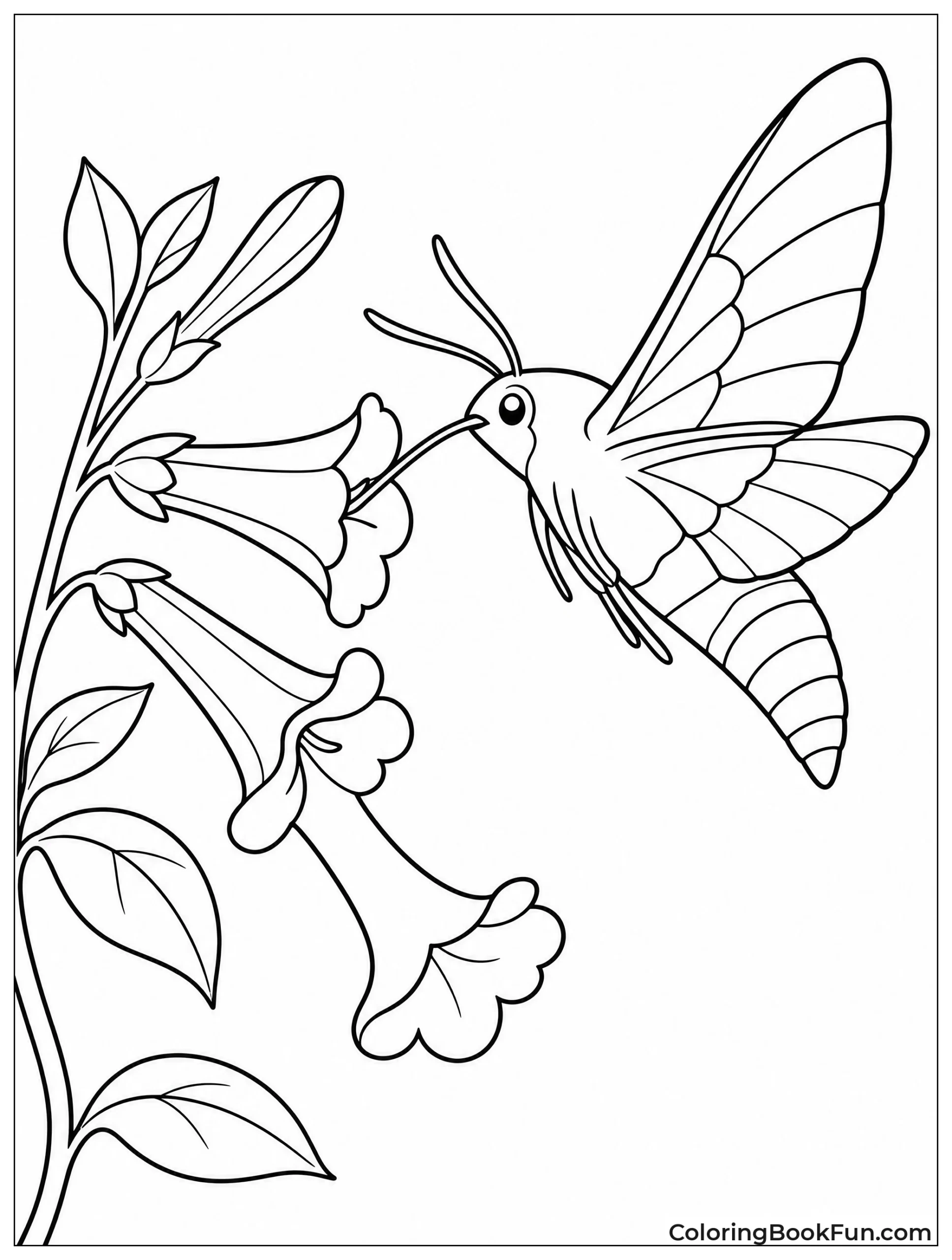 Hawkmoth Sipping Nectar from Flower