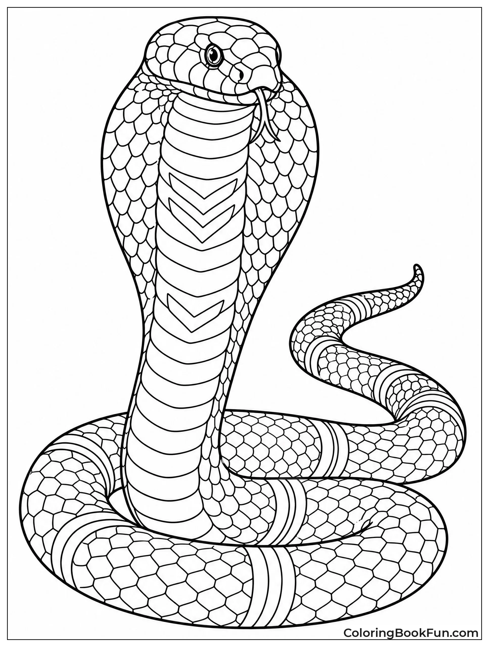 Cobra Body Showing Scale Patterns