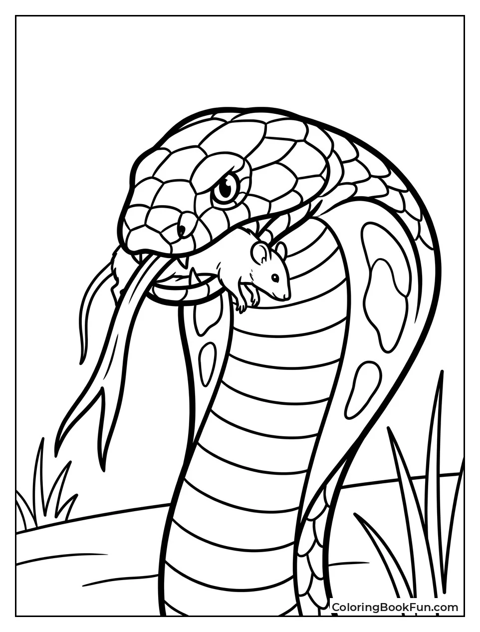 Cobra Tasting Air While Eating