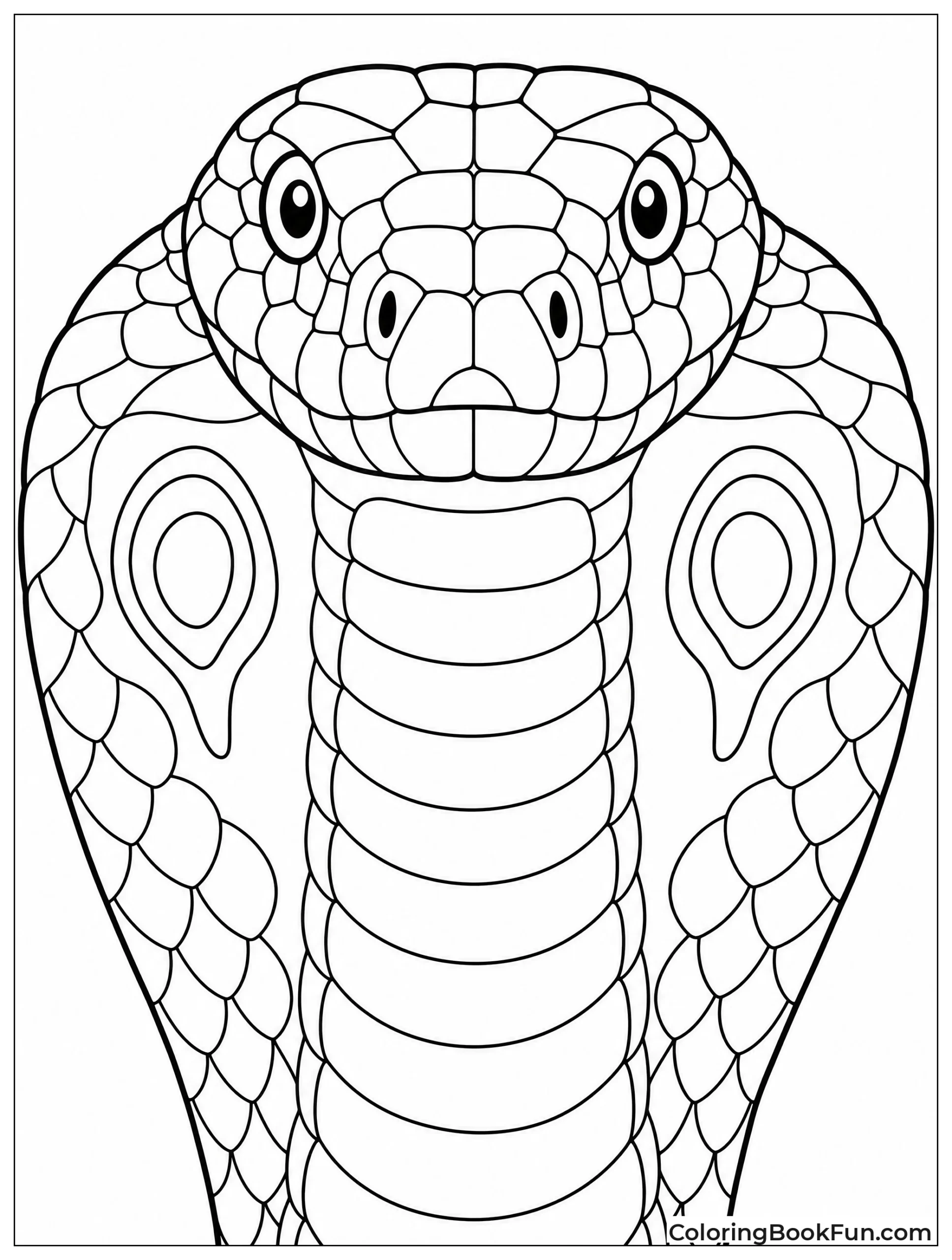 Extreme Close Up of Cobra Face