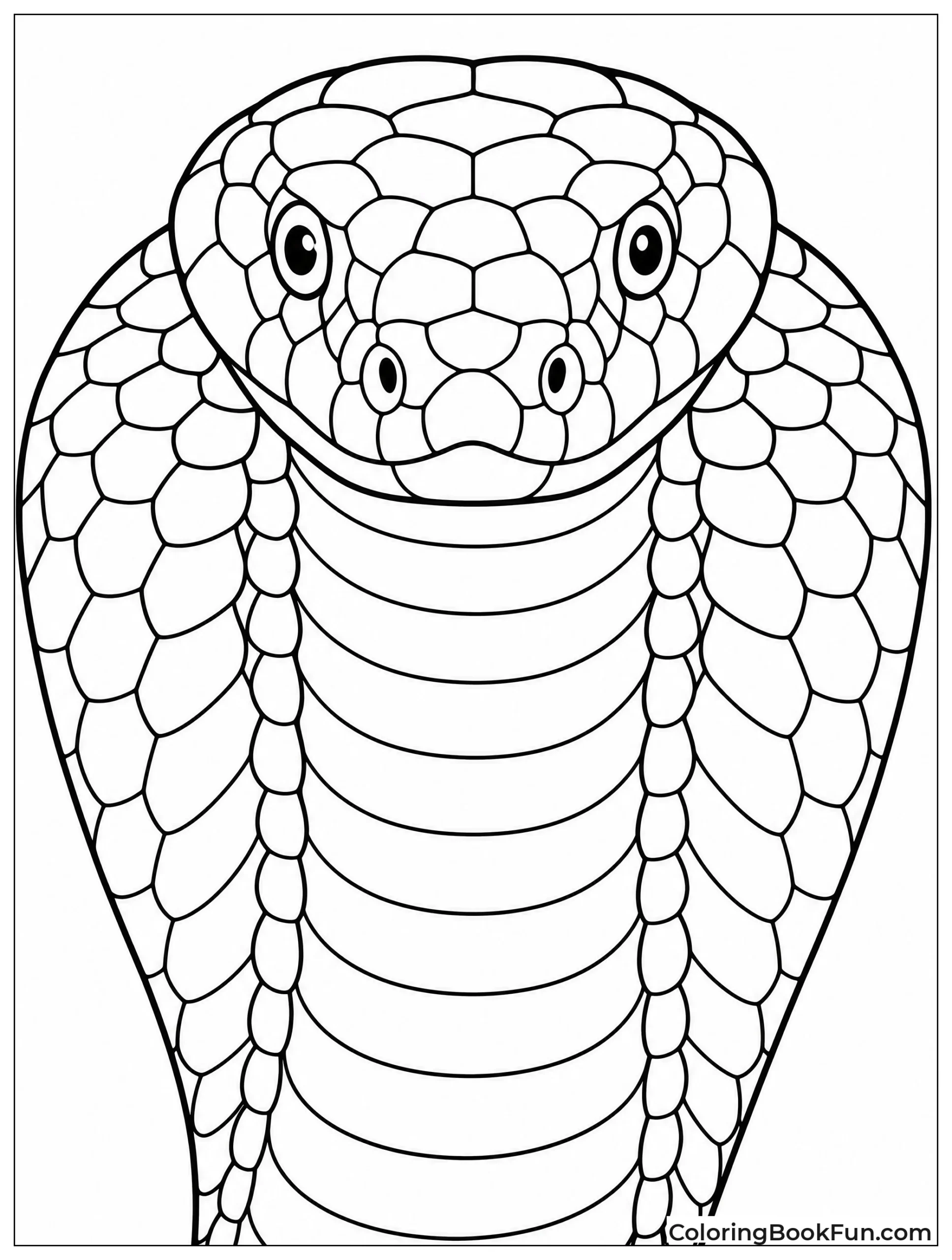 Close Up of Cobra Face