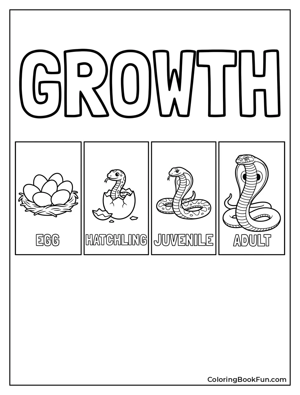 Stages of King Cobra Life